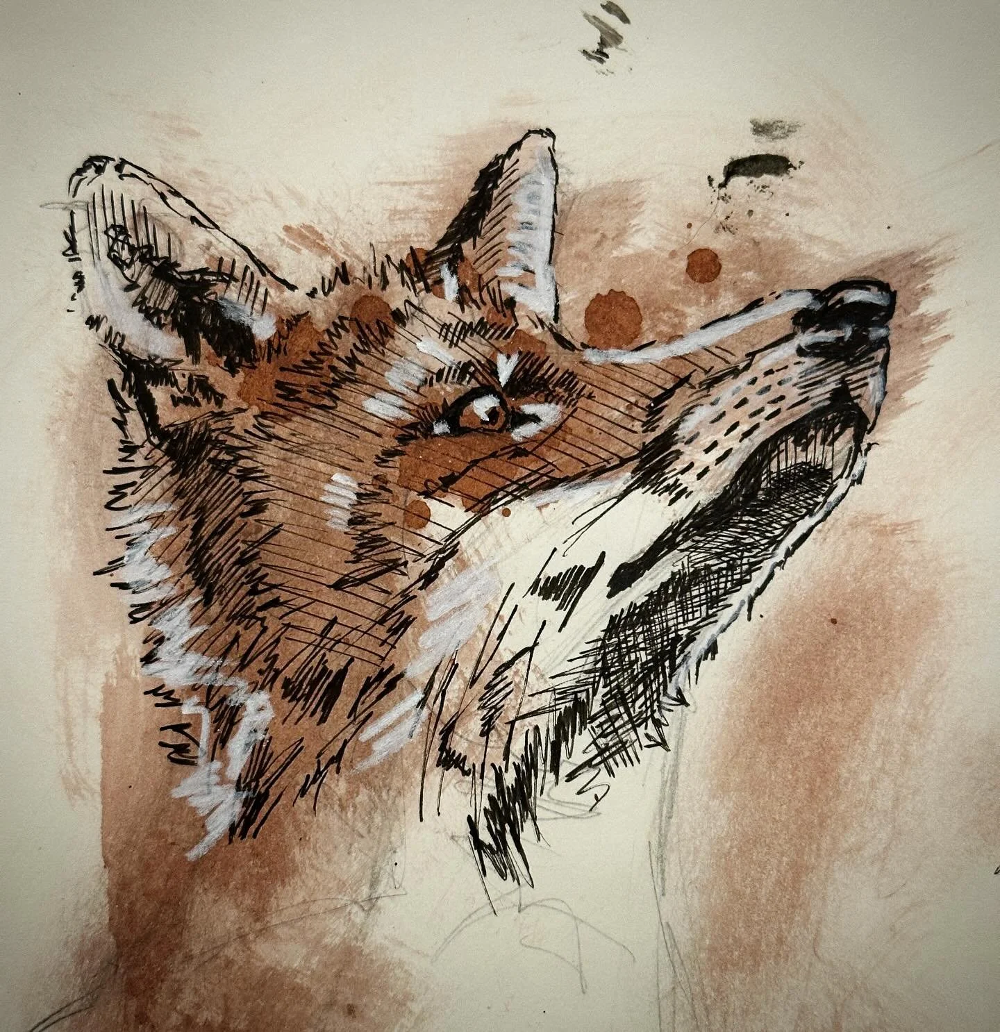 Another fox. Sorry. 🦊
.
.#fox #redfox #foxes #foxesofinstagram #foxart 
.
.
. 
. 
#sketch #ink #ocnyarts #hudsonvalleyart #nyartist #warwickartist #arttobuy #hudsonvalleyartist #customart #art #customgift #blackworknow #inkedartgroup #illustration #