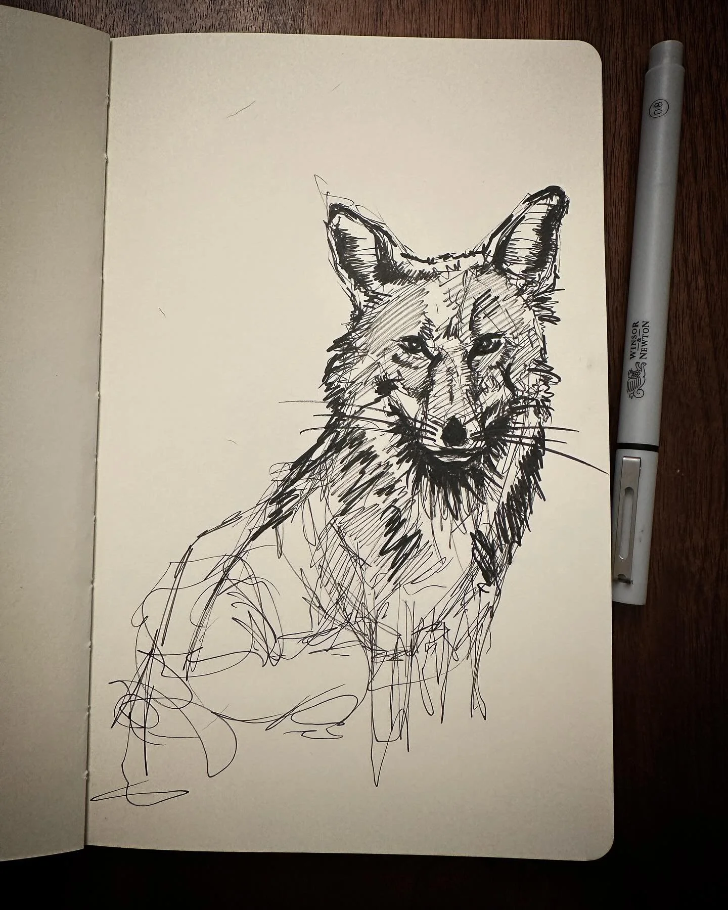 Sketchy fox sketch 🦊
.#fox #foxart #foxdrawing #foxy
.
.
.
. 
. 
#sketch #ink #ocnyarts #hudsonvalleyart #nyartist #warwickartist #arttobuy #hudsonvalleyartist #customart #art #customgift #blackworknow #inkedartgroup #illustration #inkart #illustrat