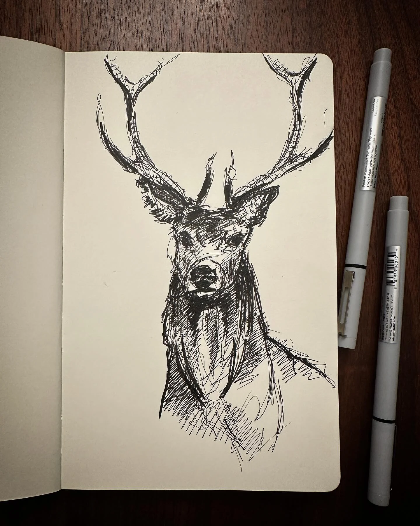 Sketchy stag sketch. 🦌
. #stag #antlers #elk #caribou #reindeer #patronus 
.
.
.
. 
. 
#sketch #ink #ocnyarts #hudsonvalleyart #nyartist #warwickartist #arttobuy #hudsonvalleyartist #customart #art #customgift #blackworknow #inkedartgroup #illustrat
