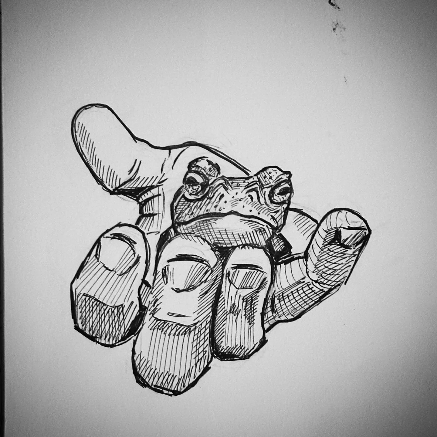 Grumpy Toad. #inktober #toad 🐸
.
.
.
.
. 
. 
#sketch #ink #ocnyarts #hudsonvalleyart #nyartist #warwickartist #arttobuy #hudsonvalleyartist #customart #art #customgift #blackworknow #inkedartgroup #illustration #inkart #illustrationnow #artistsofins
