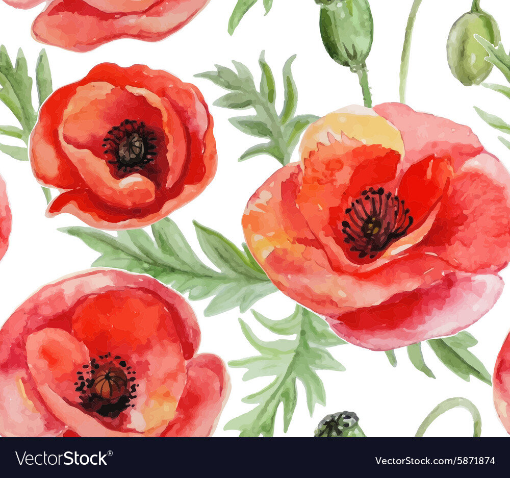 seamless-background-with-red-watercolor-poppies-vector-5871874.jpeg