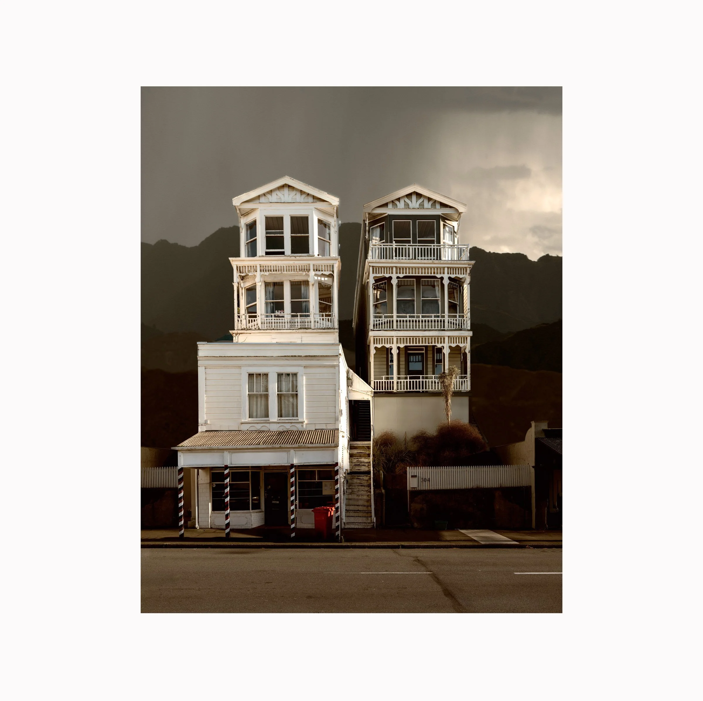 Art Print,  Historic Villas, Wellington, New Zealand,  2025