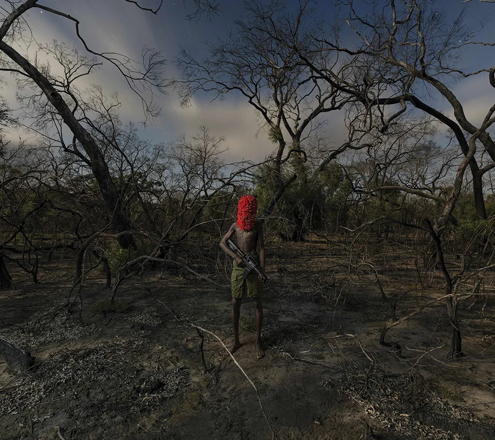   The Kaipara Wallace Arts Trust Award Winner  Jeremy Blincoe,  Tropic of Chaos , 2016, Pigment ink-jet print, 1200 x 1349.7mm 