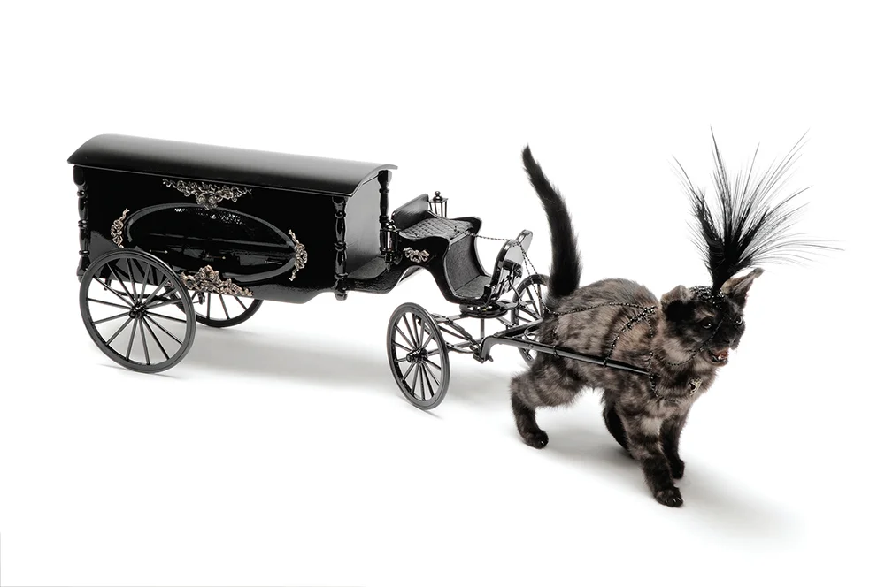   The Wallace Arts Trust Vermont Award Winner  Julia deVille,  Kitten Drawn Hearse , 2013, Taxidermy kitten, black garnet beads, sterling silver, pear-shaped sapphire, egret feathers, wood, glass, 300 x 150 x 830mm 