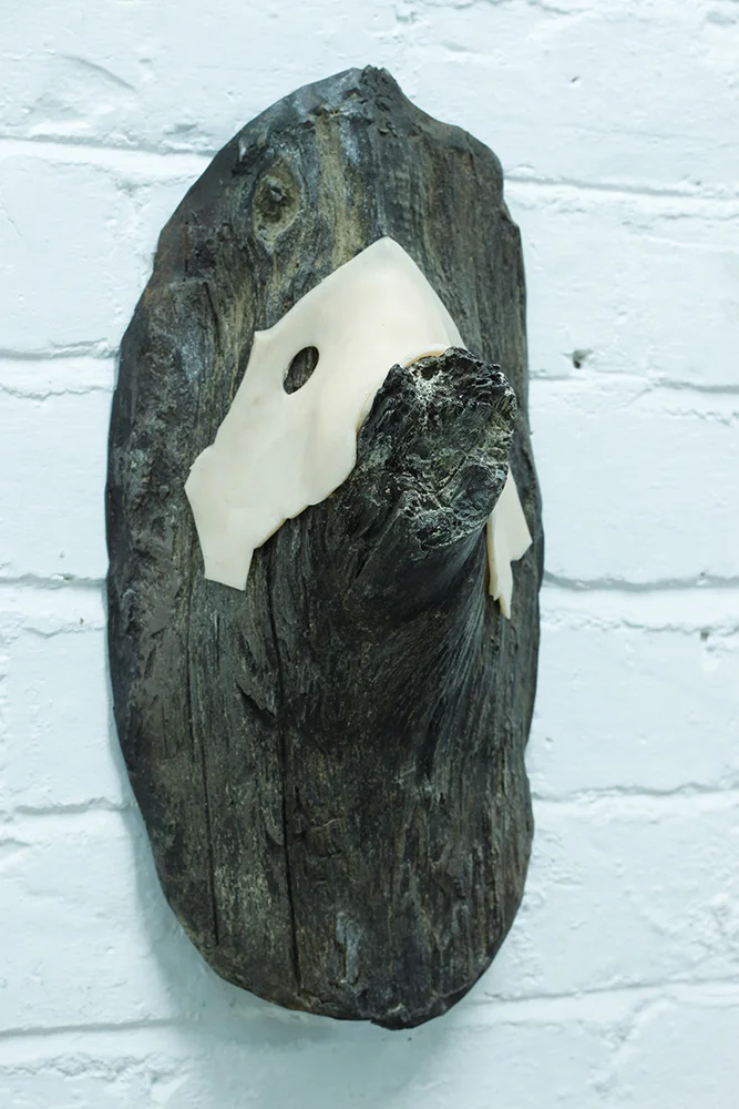   The Kaipara Foundation Wallace Arts Trust Award Winner  John Brown,  John Wayne , 2012, Urethane resin, silicone, floc and acrylic, 520 x 330 x 250mm 