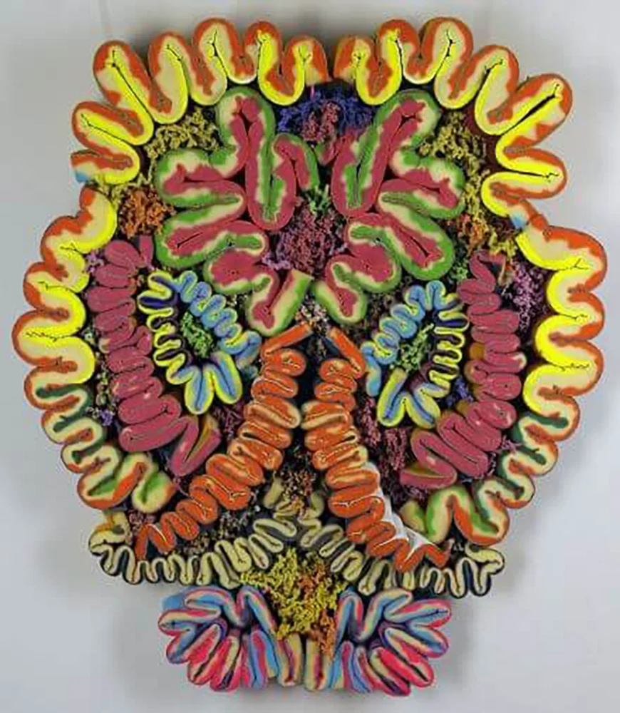   Second Runner-up Award Winner  Philip Jarvis,  Big Little Brain , 2009, Foam, paint, glass, rubber bands 