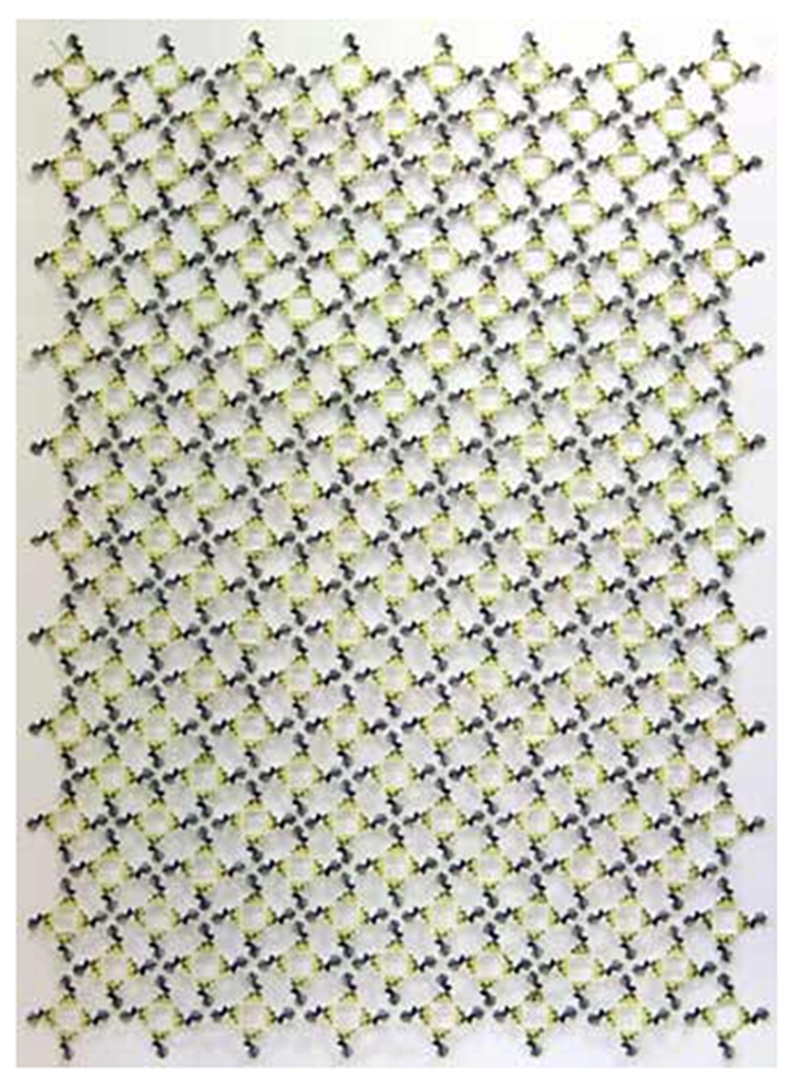   The Wallace Arts Trust Development Award Winner  Lianne Edwards,  4d Piwakawaka: 1d Health , 2007, Stamp hinges, draughting film, and insect pins, 1100 x 785mm 