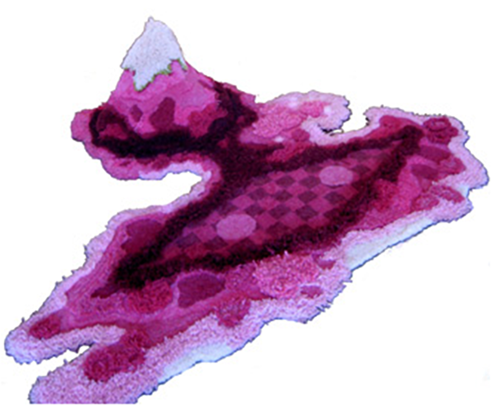   Runner-up Award Winner  Andrea du Chatenier,  Love Sanctuary (with heli-port),  2007, 800 x 2000 x 2000mm 