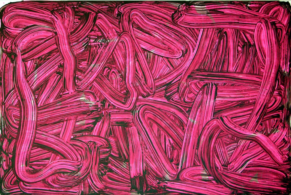   The Wallace Arts Trust Paramount Award Winner  Judy Millar,  Big, Pink, Shimmering One,  2002, Acrylic and oil on canvas, 1930 x 2840mm 