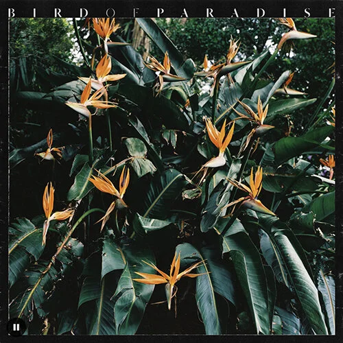 Listen to the album…