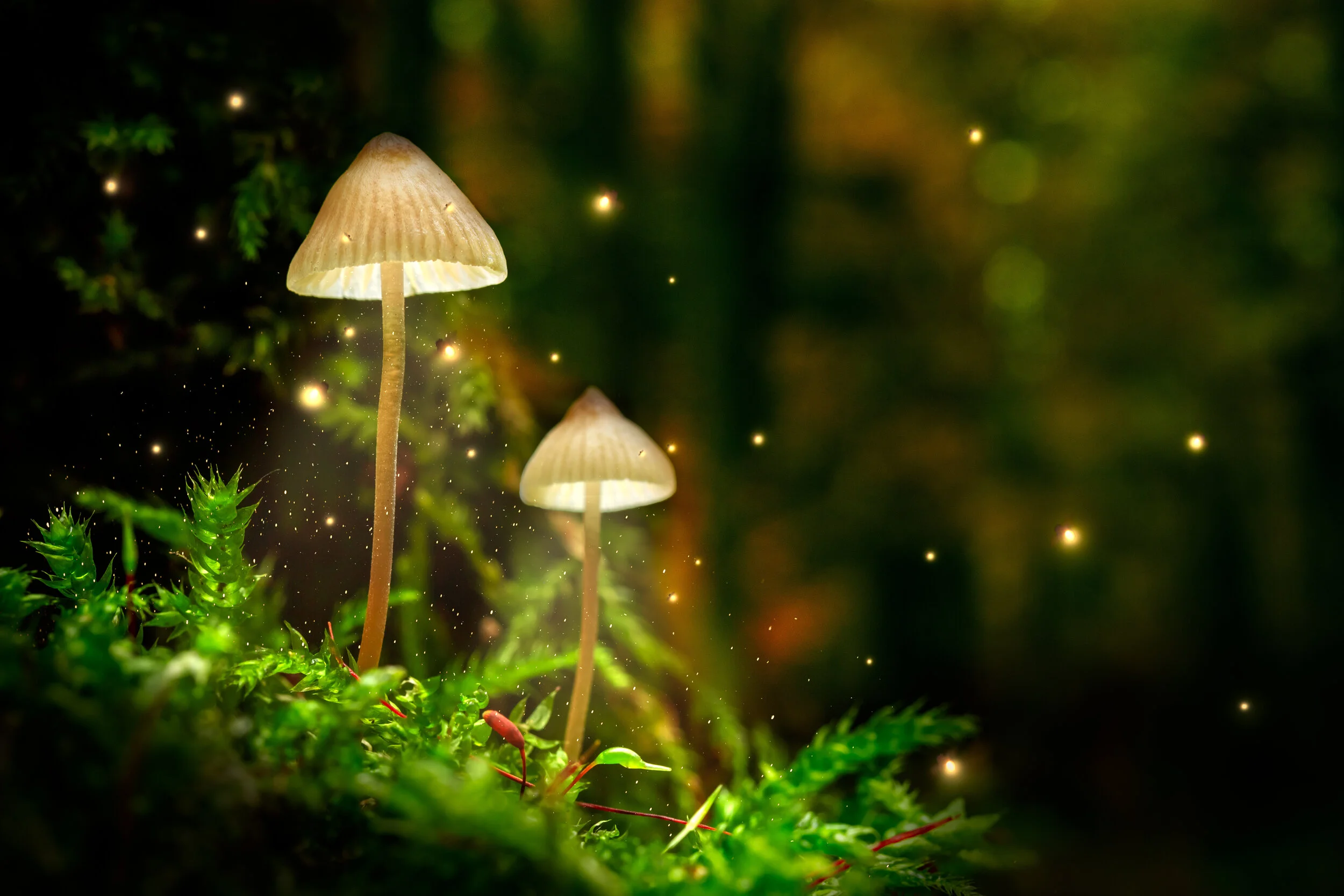 Growing Evidence Supports Psilocybin-Assisted Psychotherapy for Depression