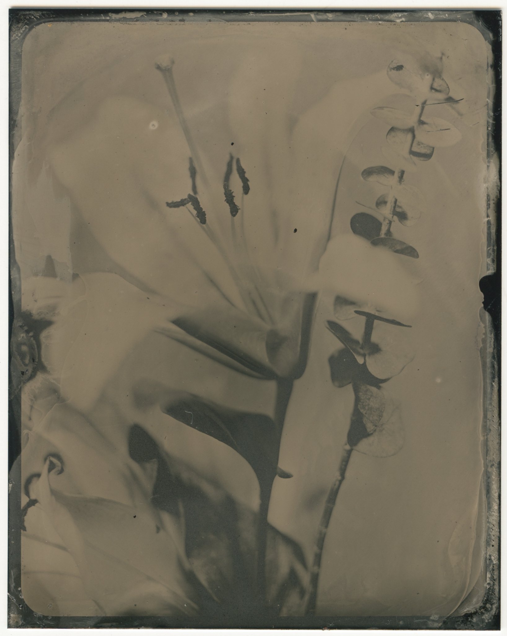 Tintype.JPG