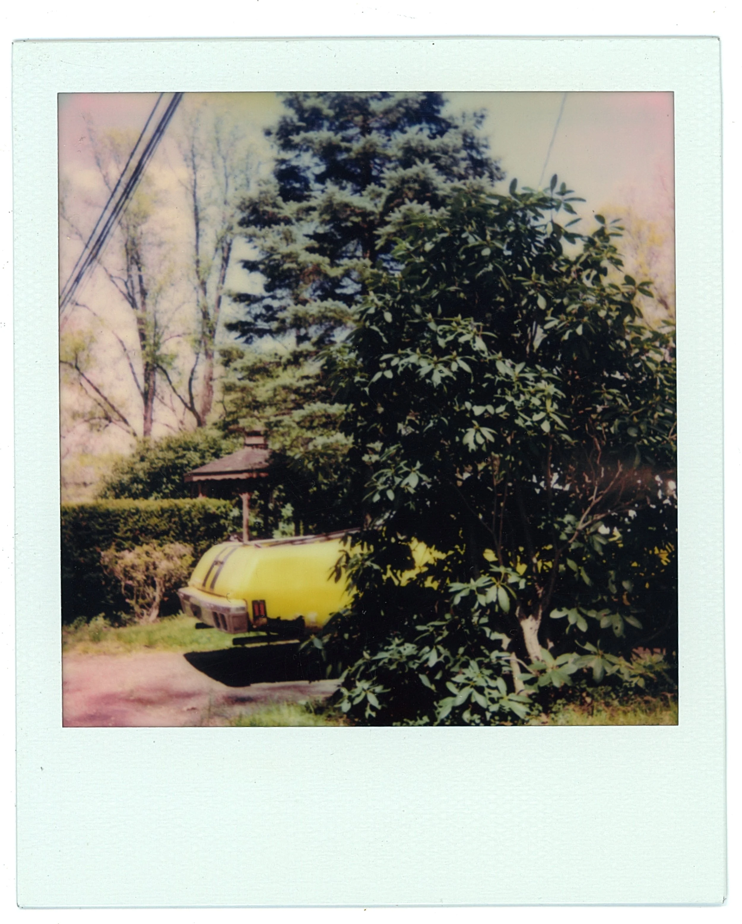 Polaroids-36.jpg