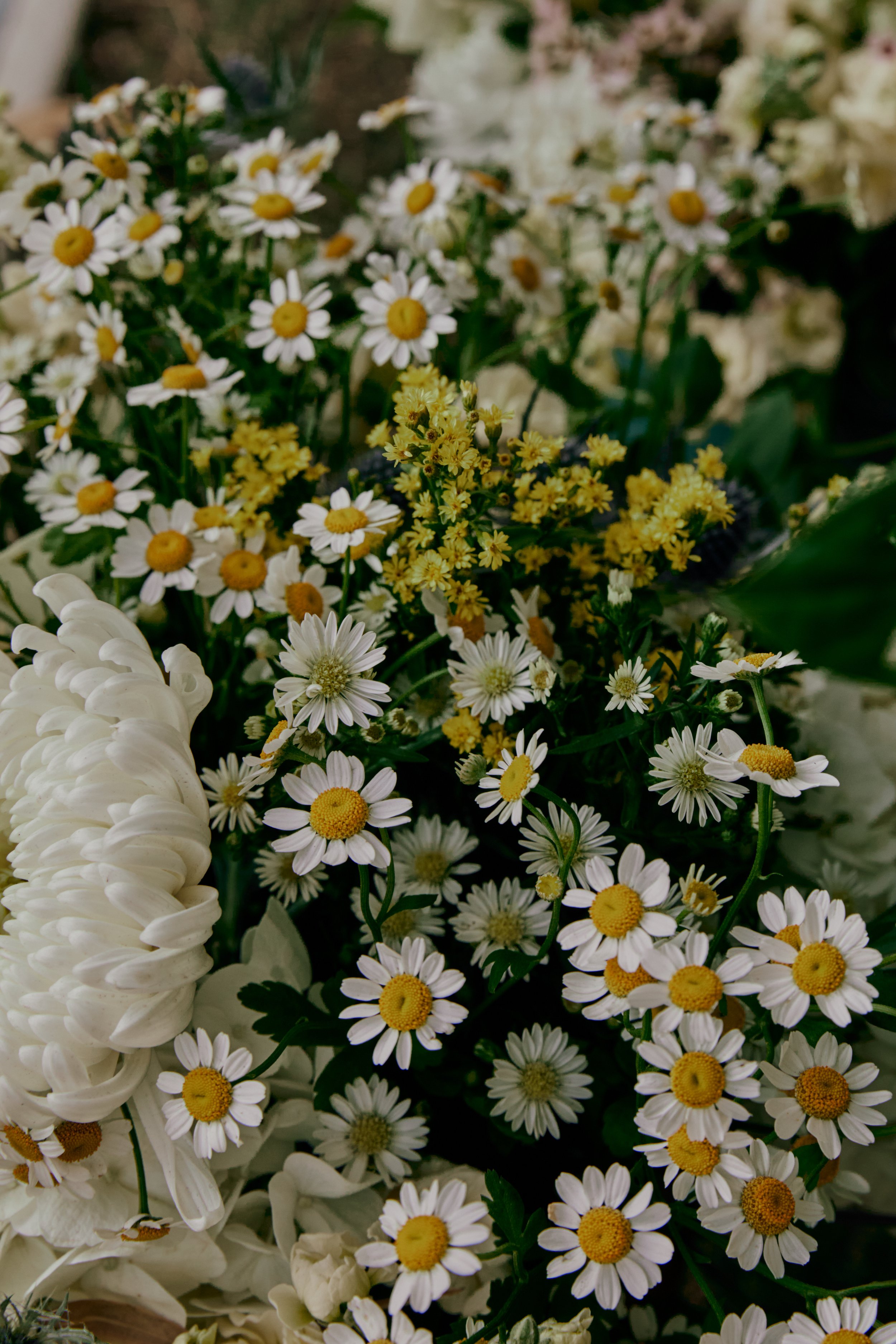 Anisa + Luke  b_39.JPG