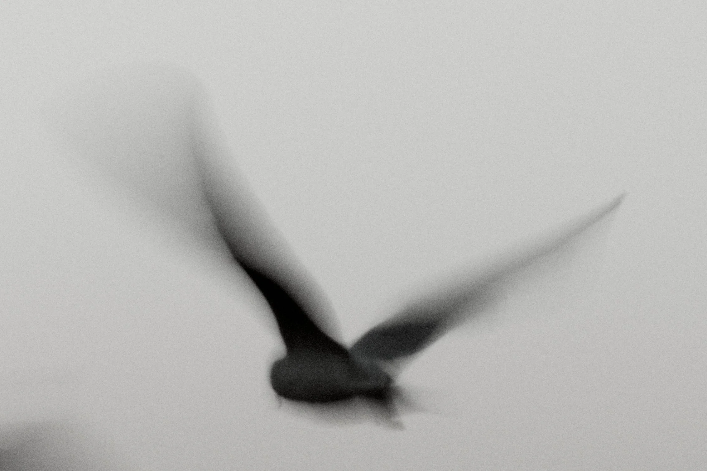 Venice 05.JPG