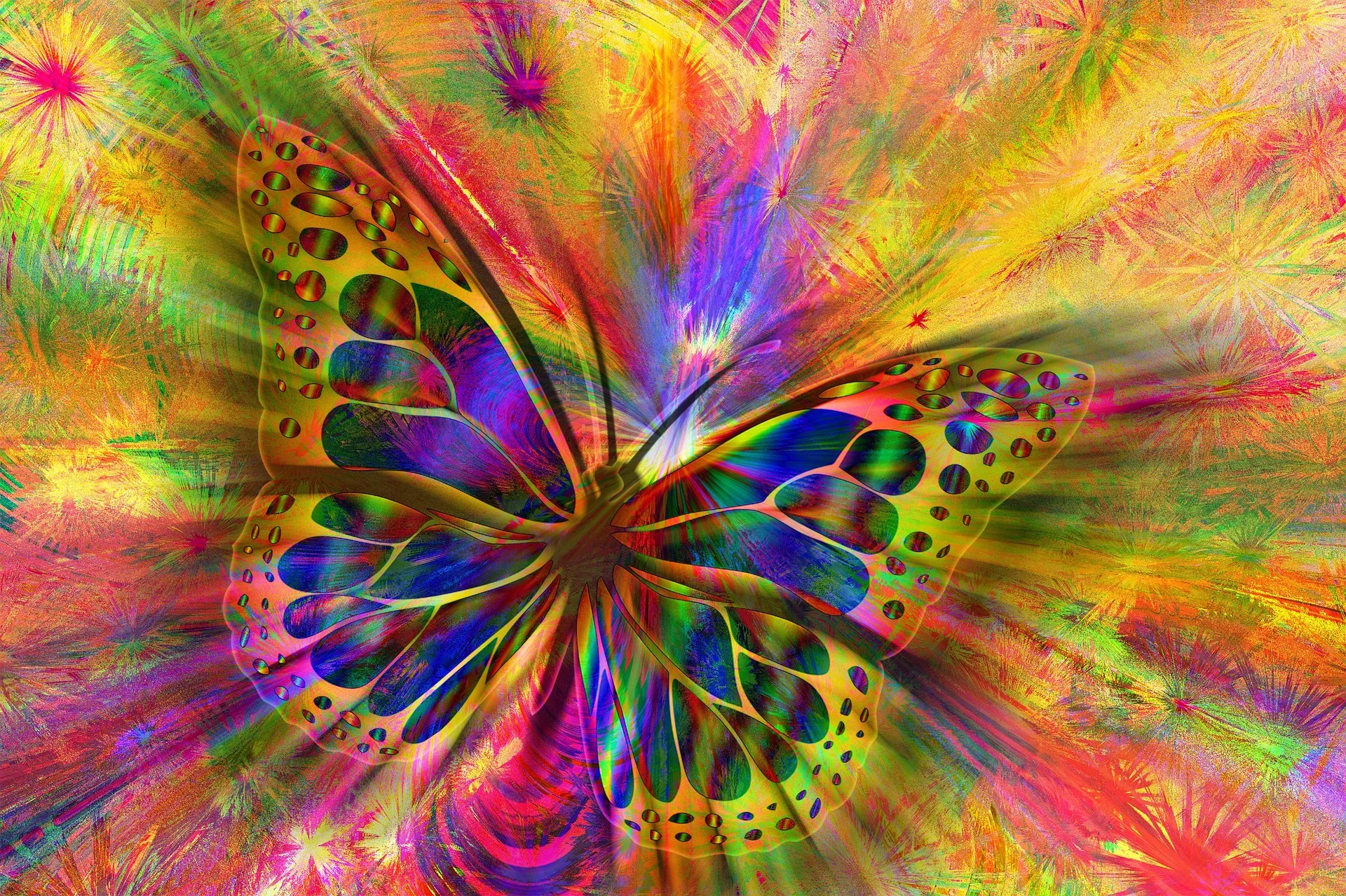 How to Raise your Vibration