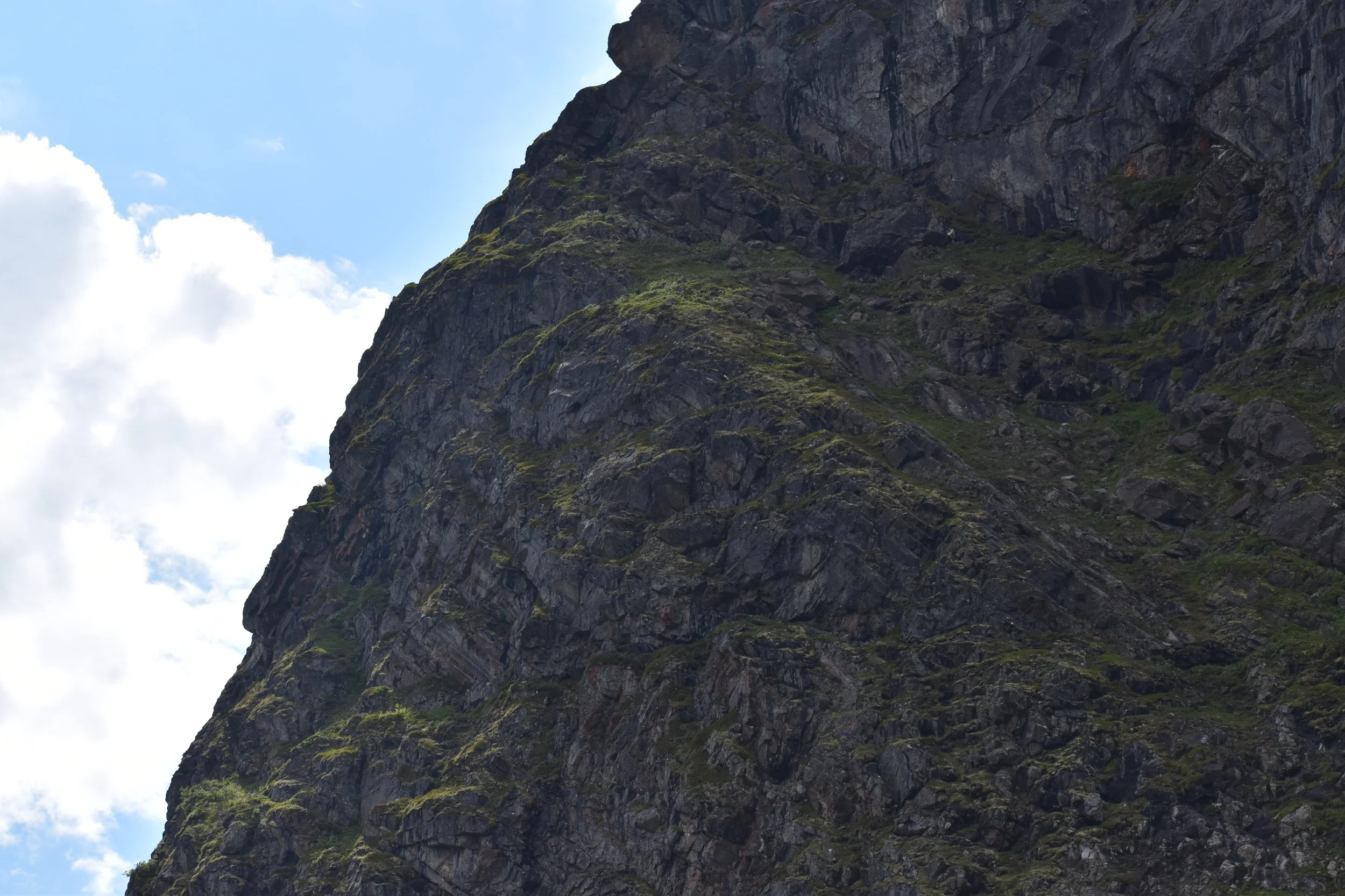 DSC_0163.JPG