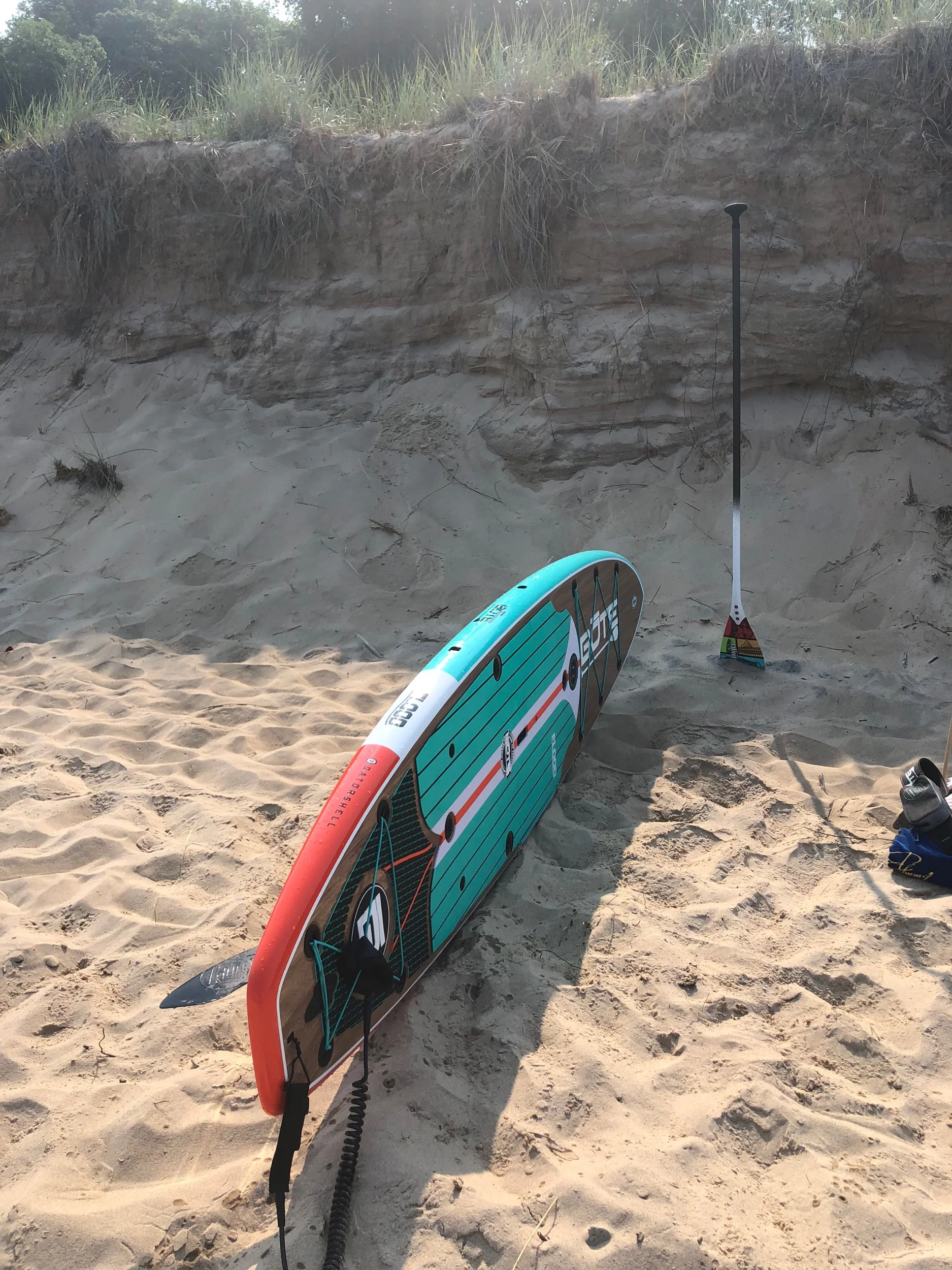 Where Will Growth Come From?