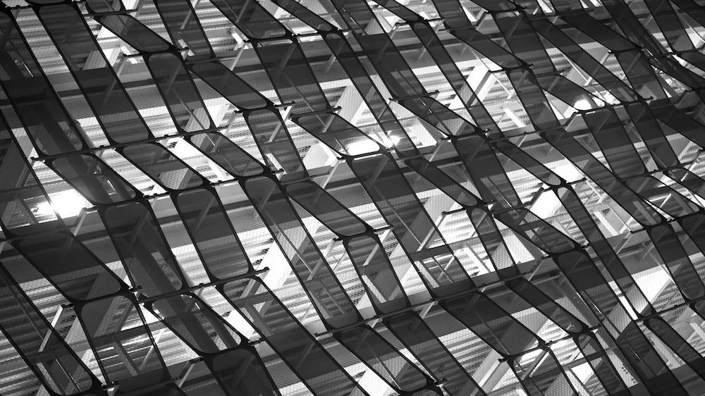 1DX_9381 - Version 2.jpg