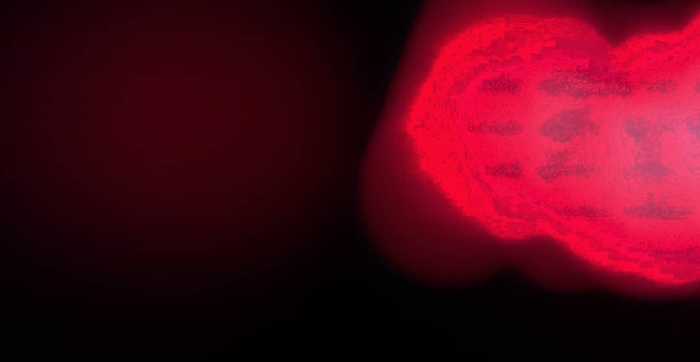 Screenshot_20191217-031430(1)(1).png