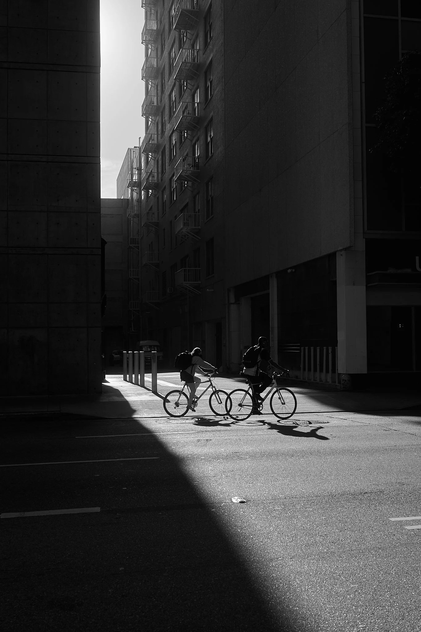 DSC05667.jpg