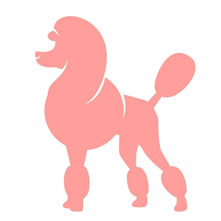 Pink_poodle.jpg