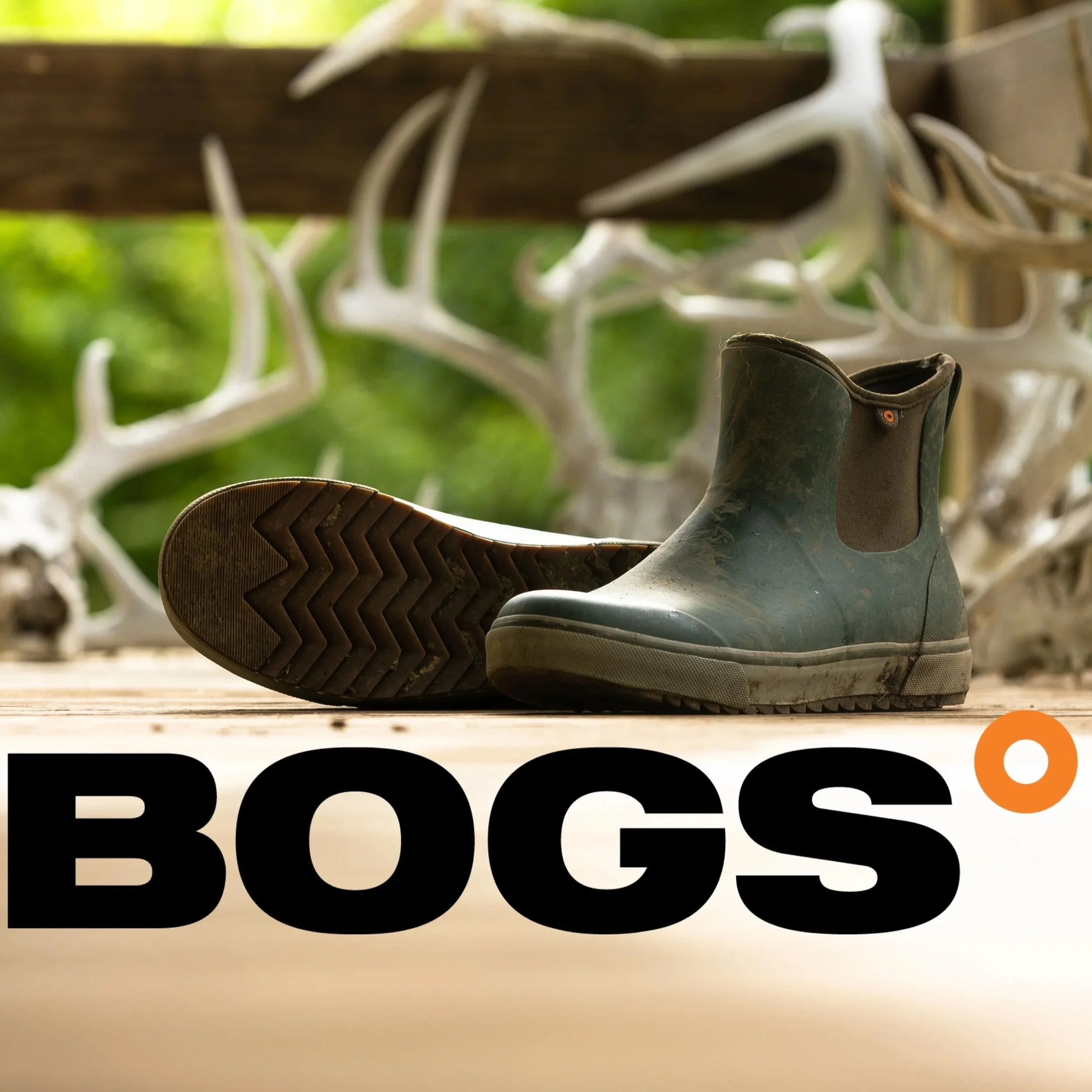 BOGS+thumbnail+AMG.jpg