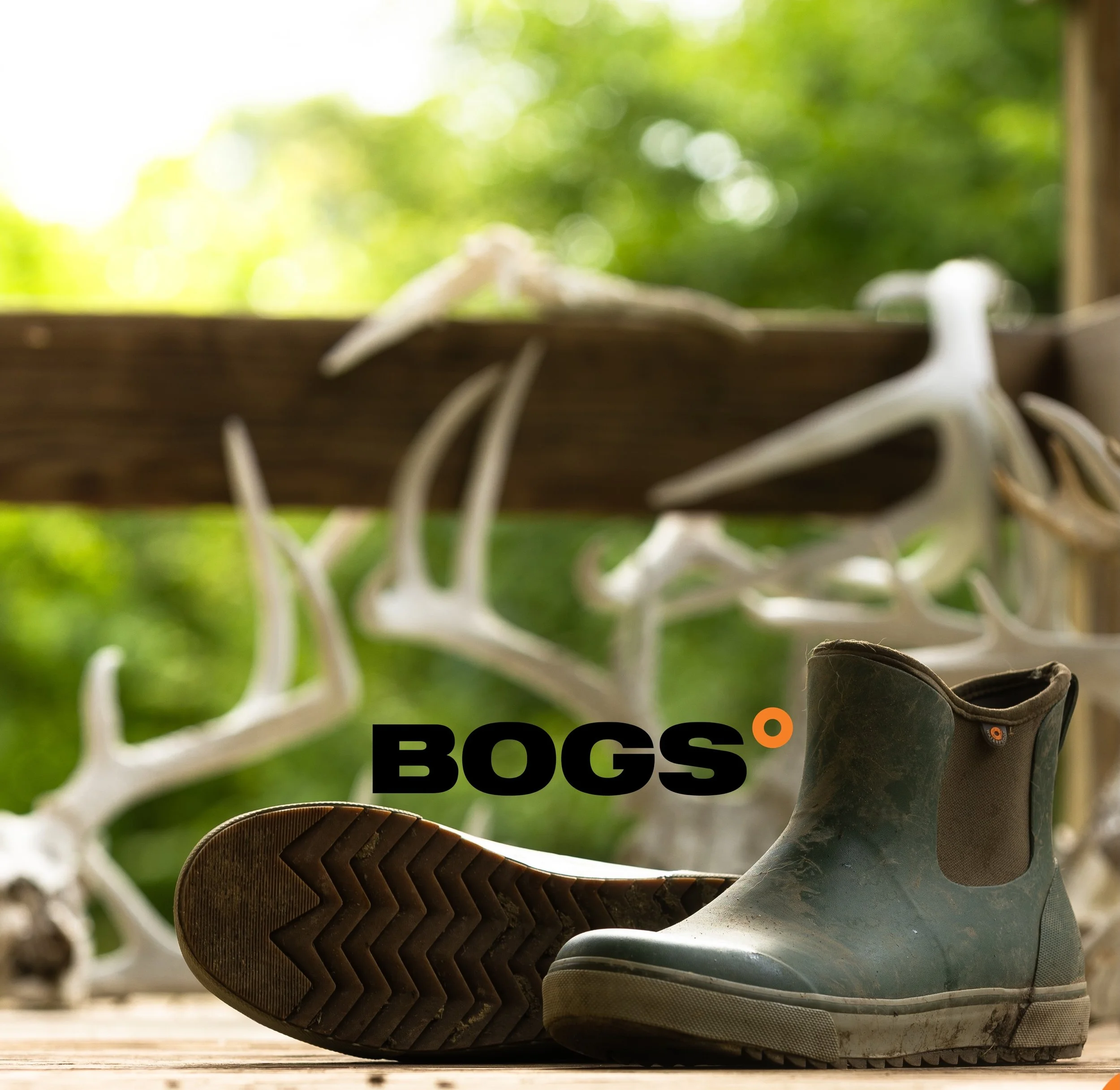 BOGS AMG.jpg