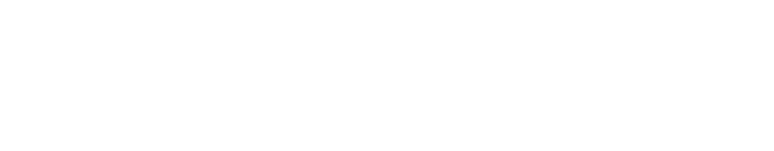 Wordmark White.png