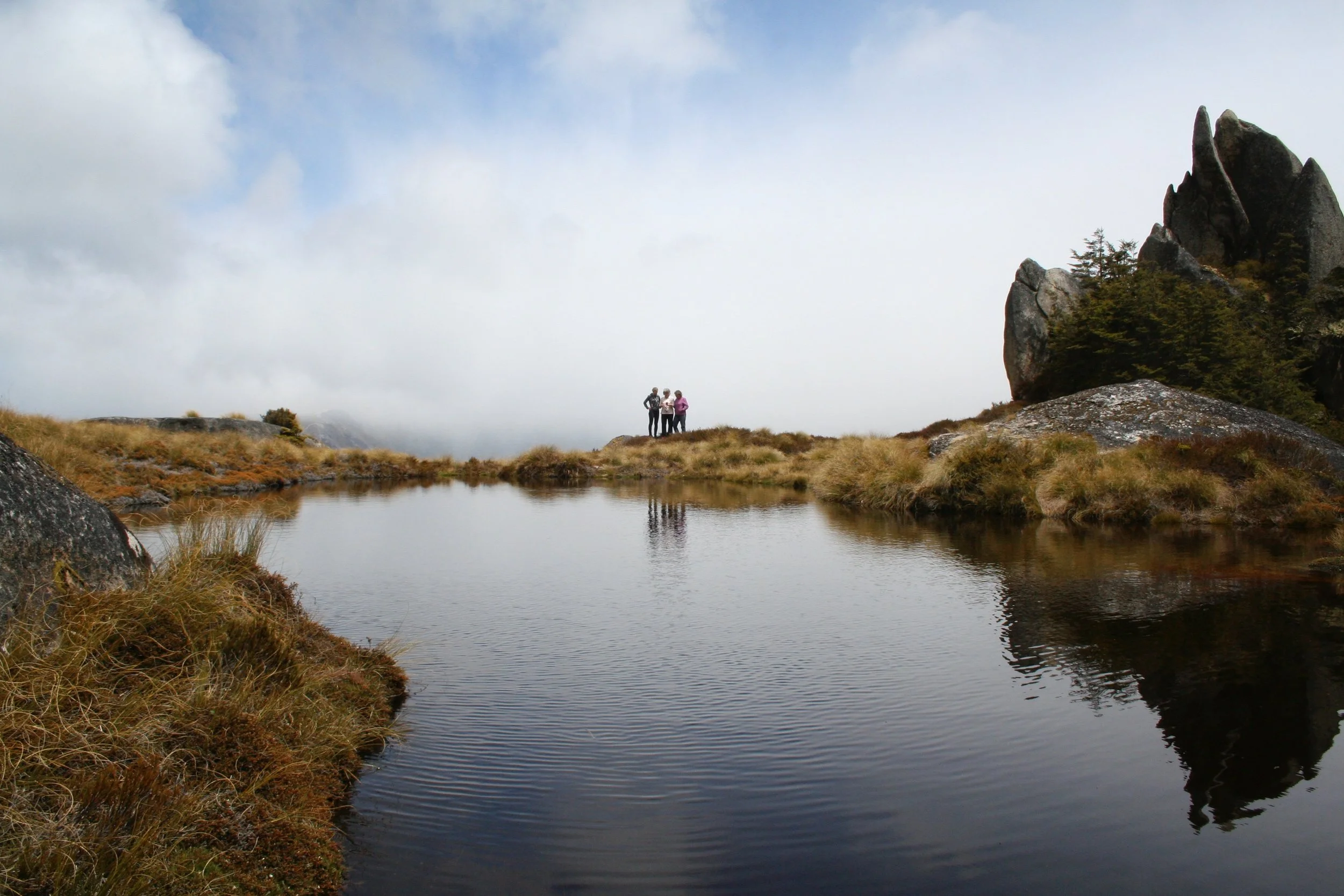 Te Reo Māori increases job satisfaction
