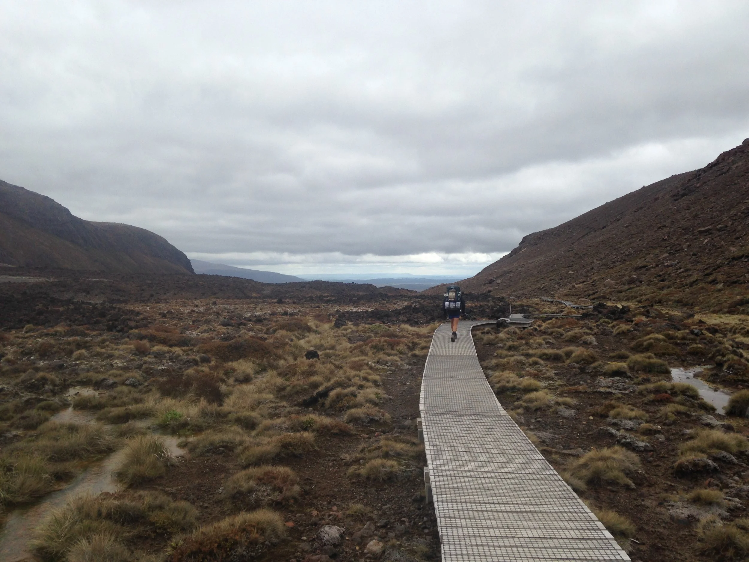Te Reo Pakihi: Talking business in Māori