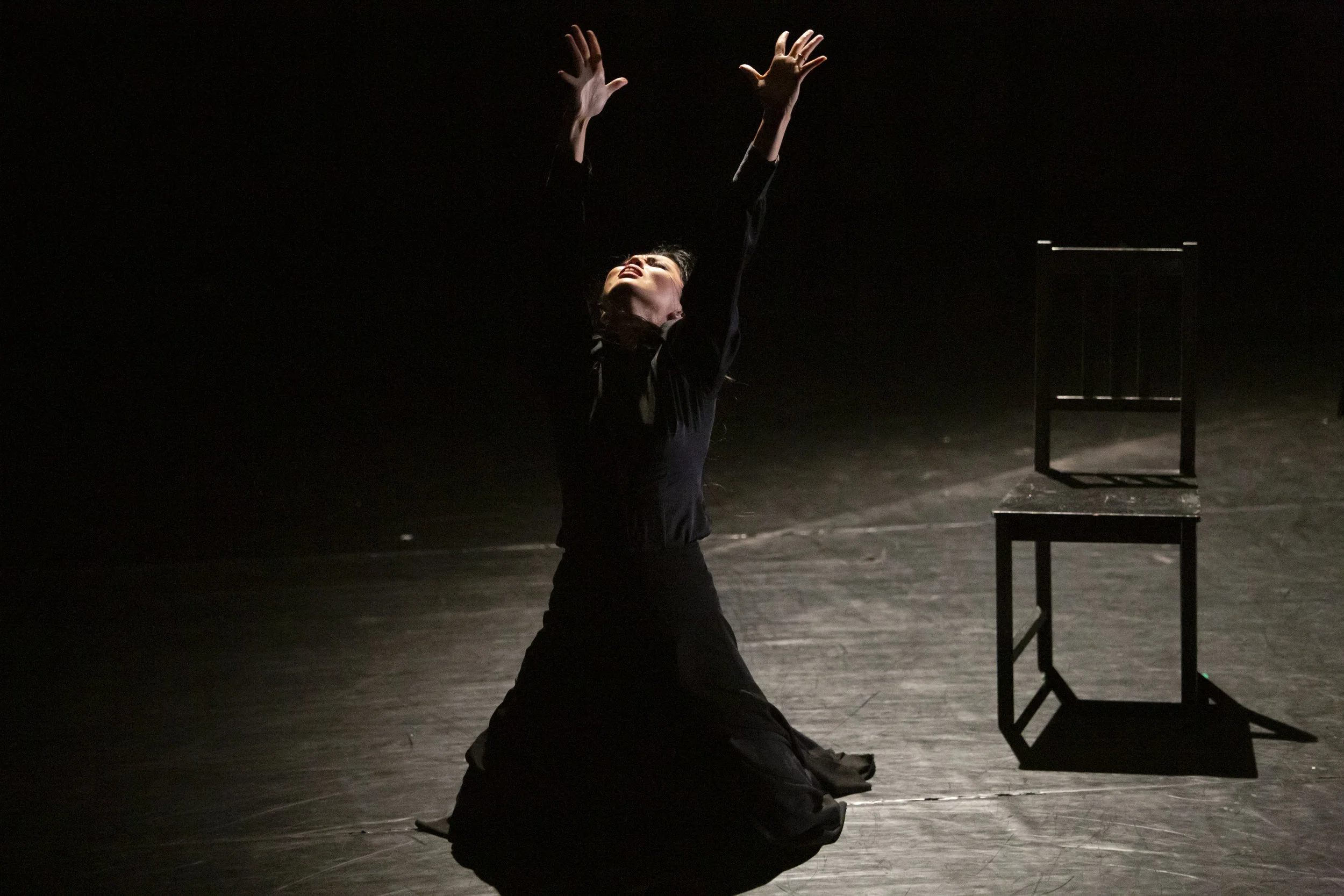 FB-Flamenco_P9A8946.JPG