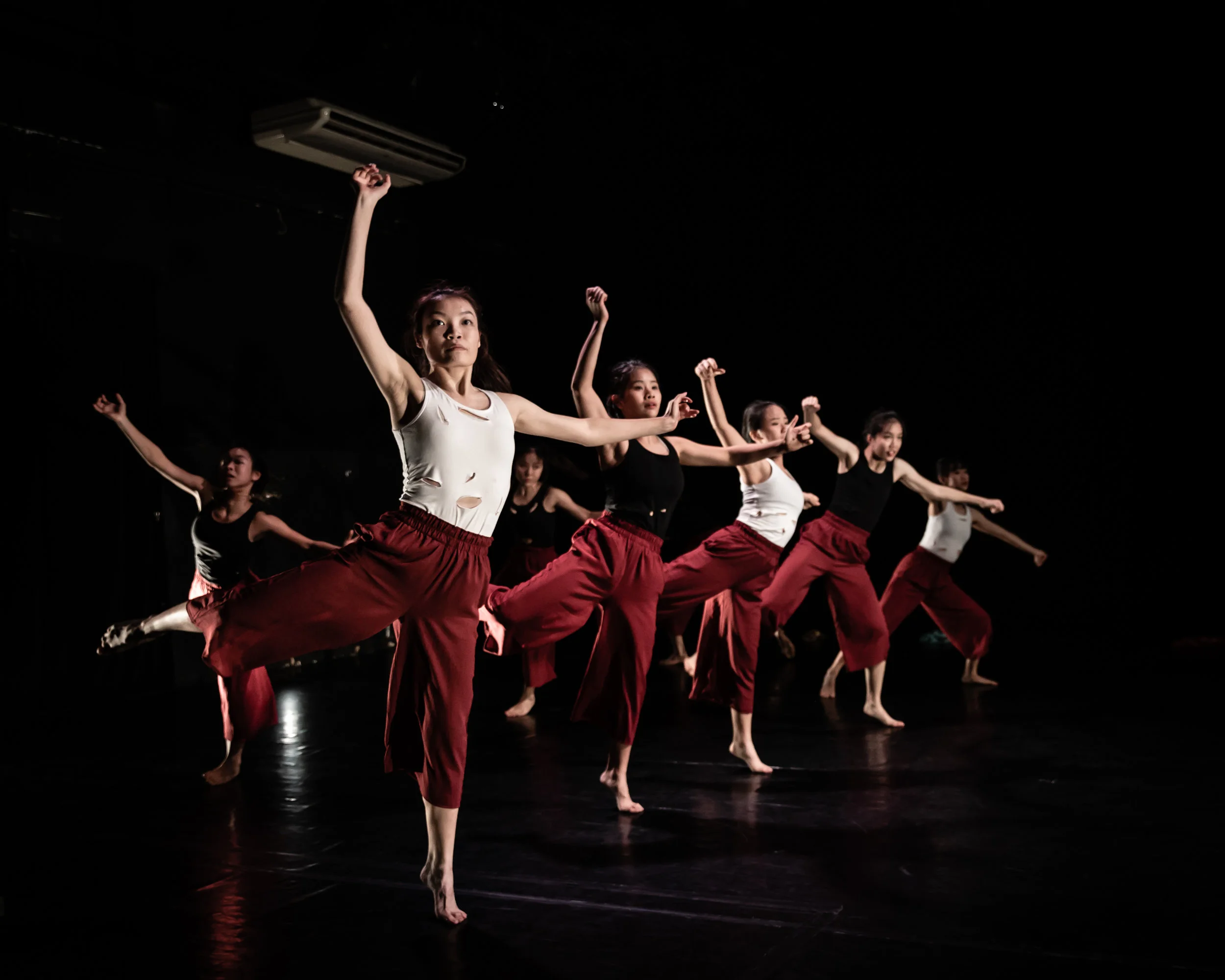 Same Same But Different - Bernie.JPG