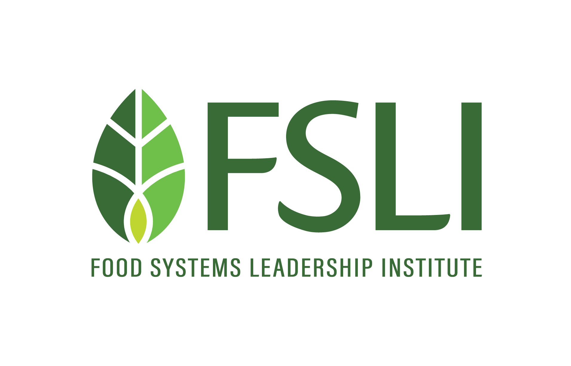 final-FSLI-LOGO_1LINE-transparent-large-color.png