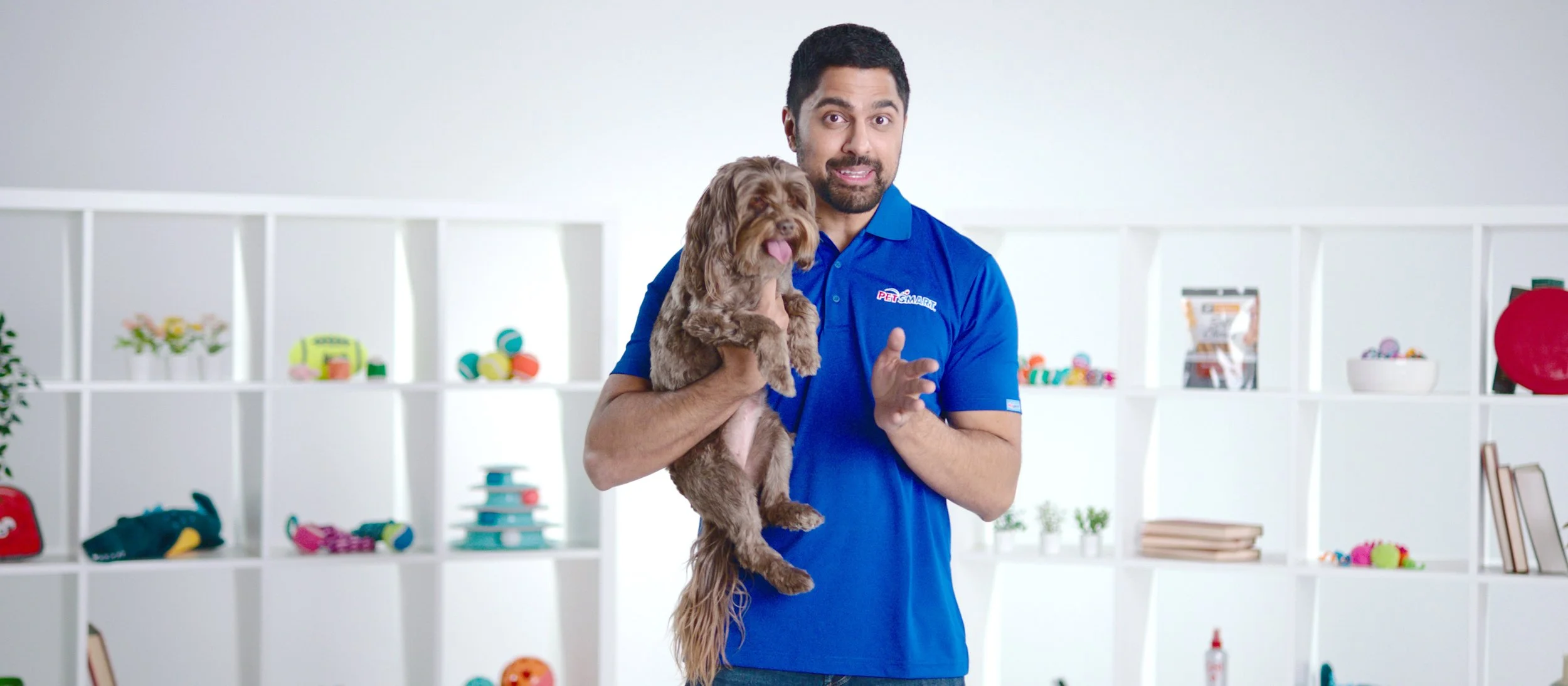 petsmart-_1.1.1 copy.jpg