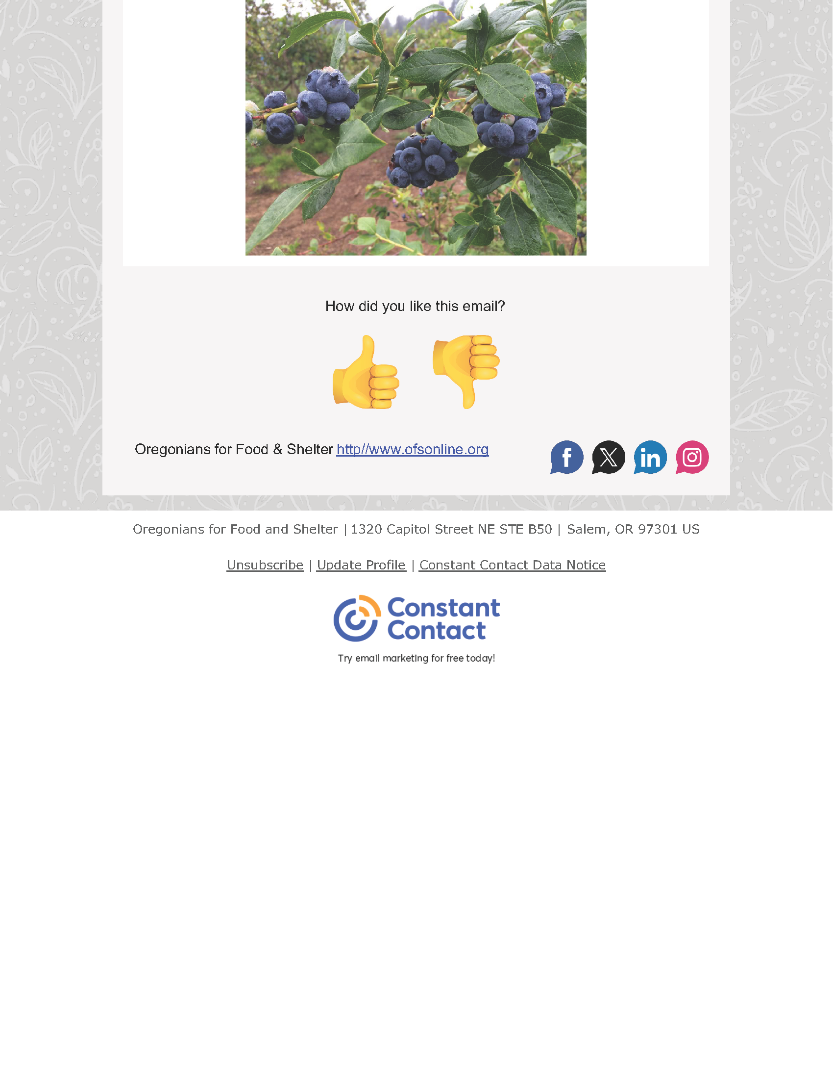 OFS Newsletter - June 6 2025_Page_10.png