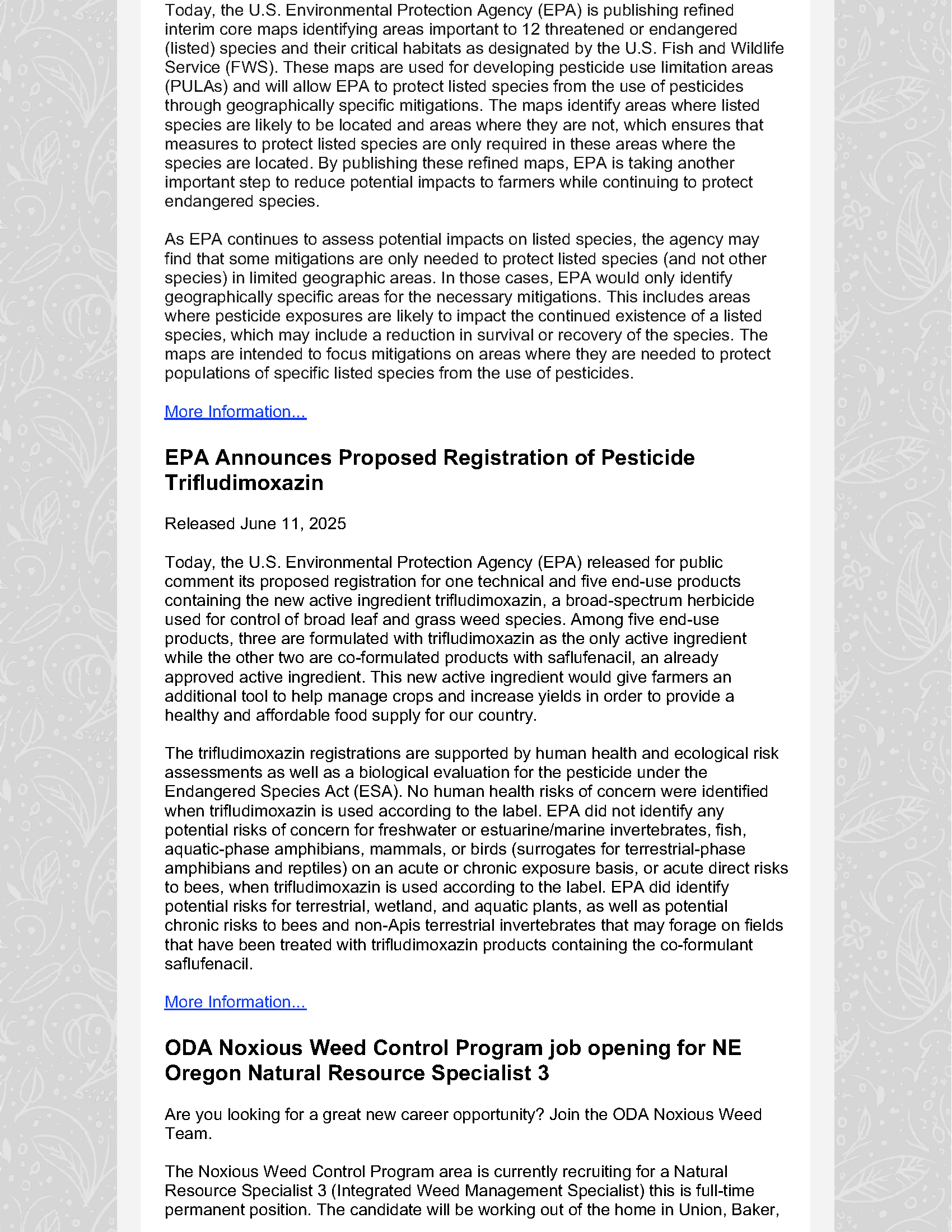OFS Newsletter - June 13 2025_Page_03.png