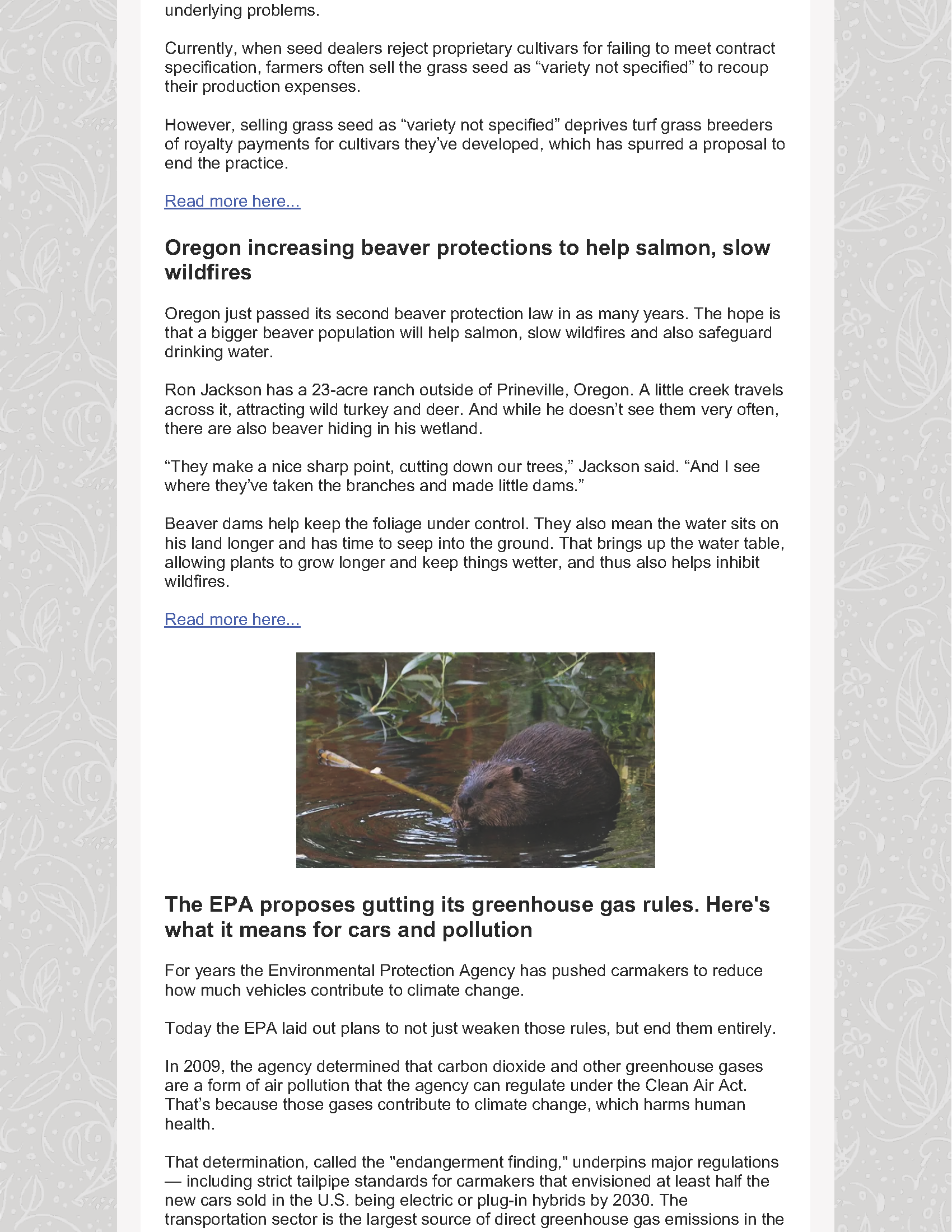 OFS Newsletter - August 1 2025_Page_7.png