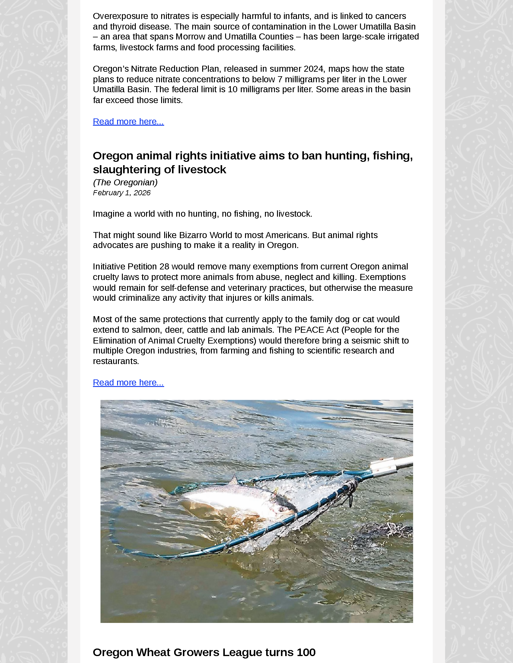 OFS Newsletter - February 6 2026_Page_08.png