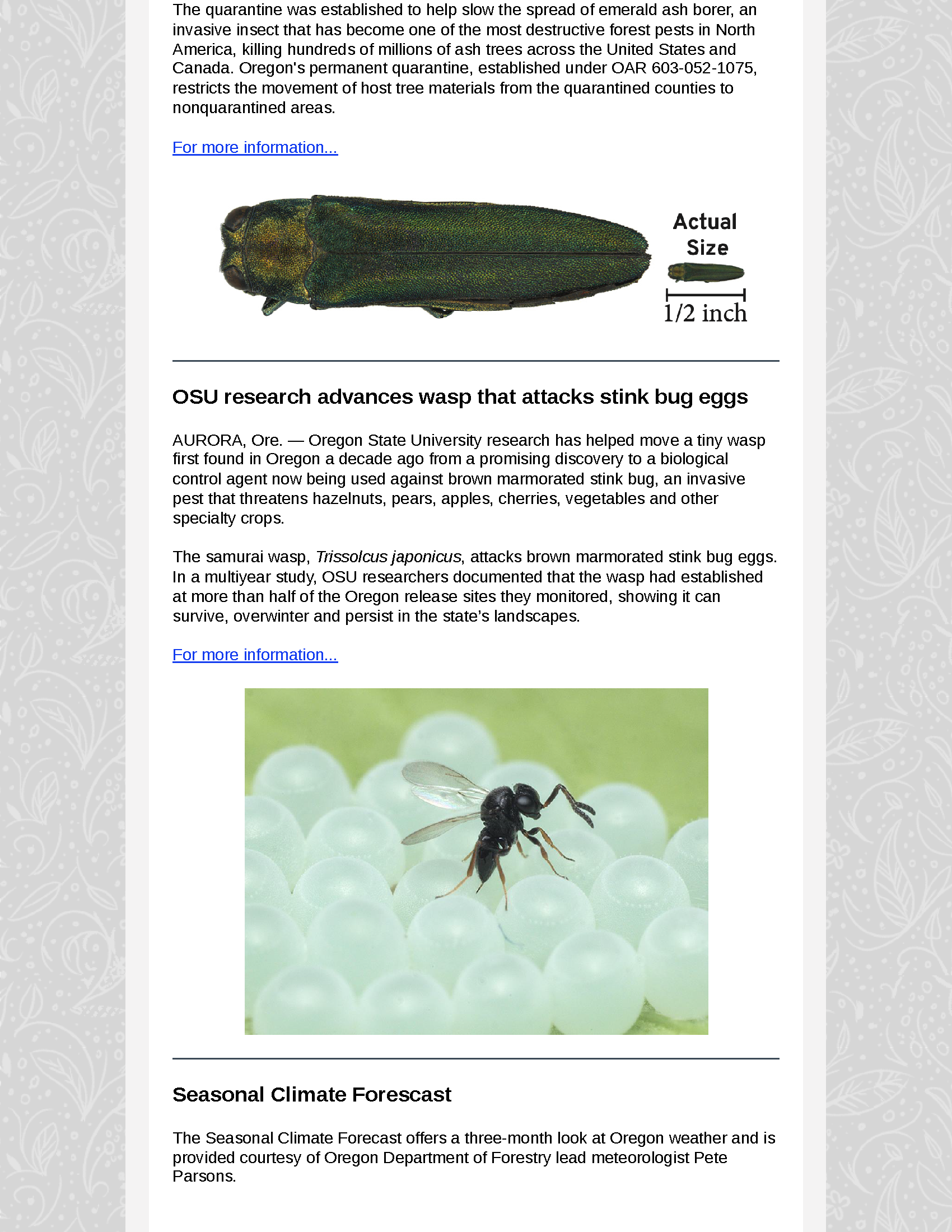 OFSNewsletter-June122026_Page_3.png