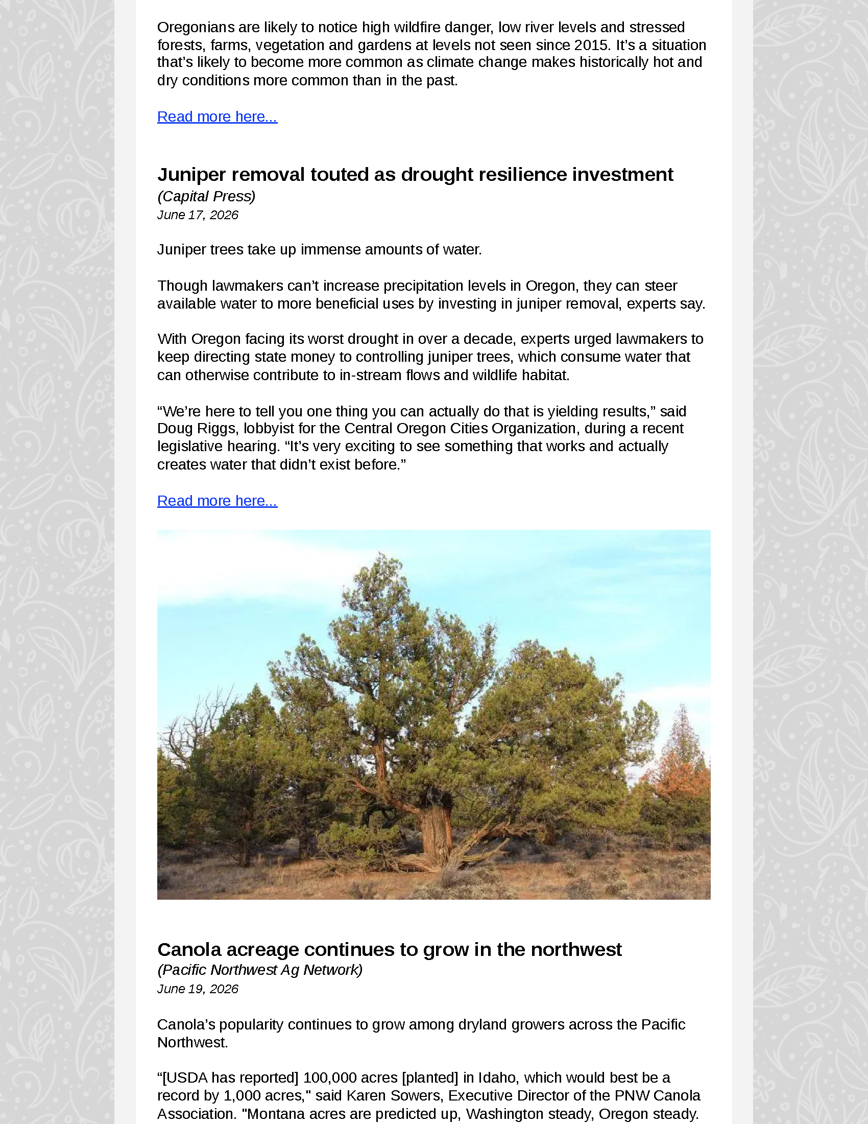 OFSNewsletter-June192026_Page_7.png