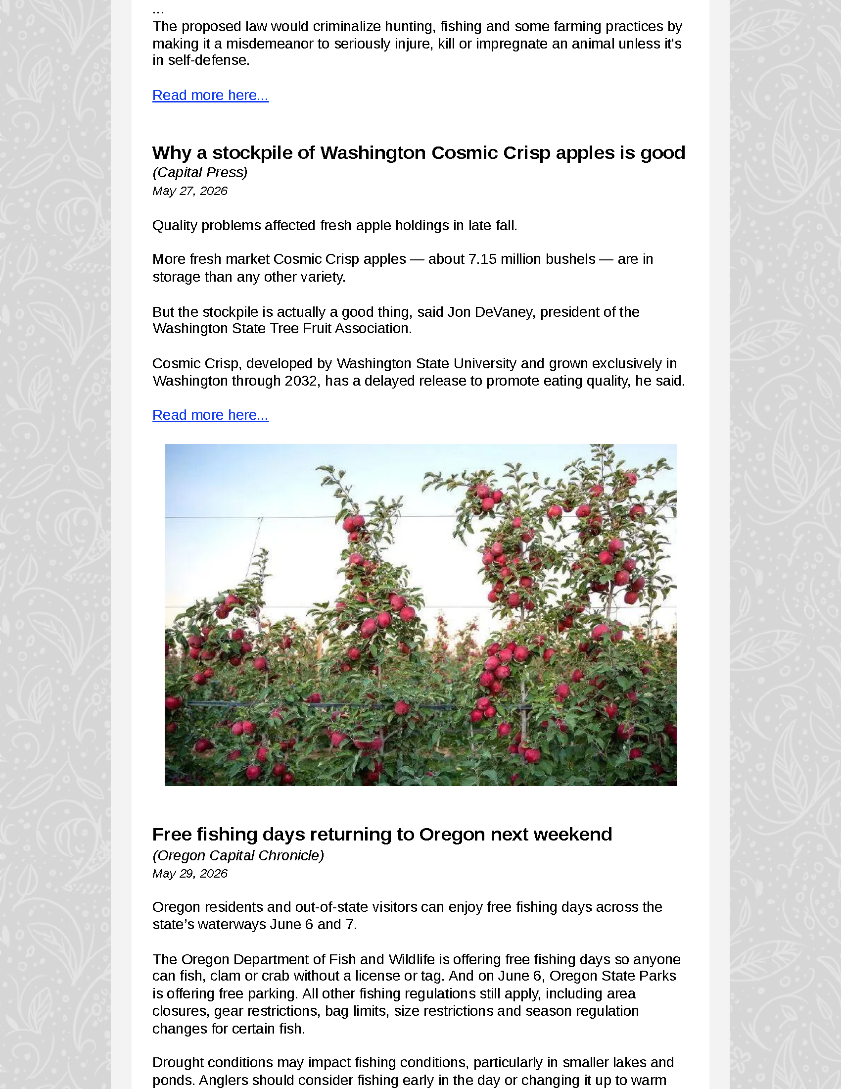 OFS Newsletter - May 29 2026_Page_5.png