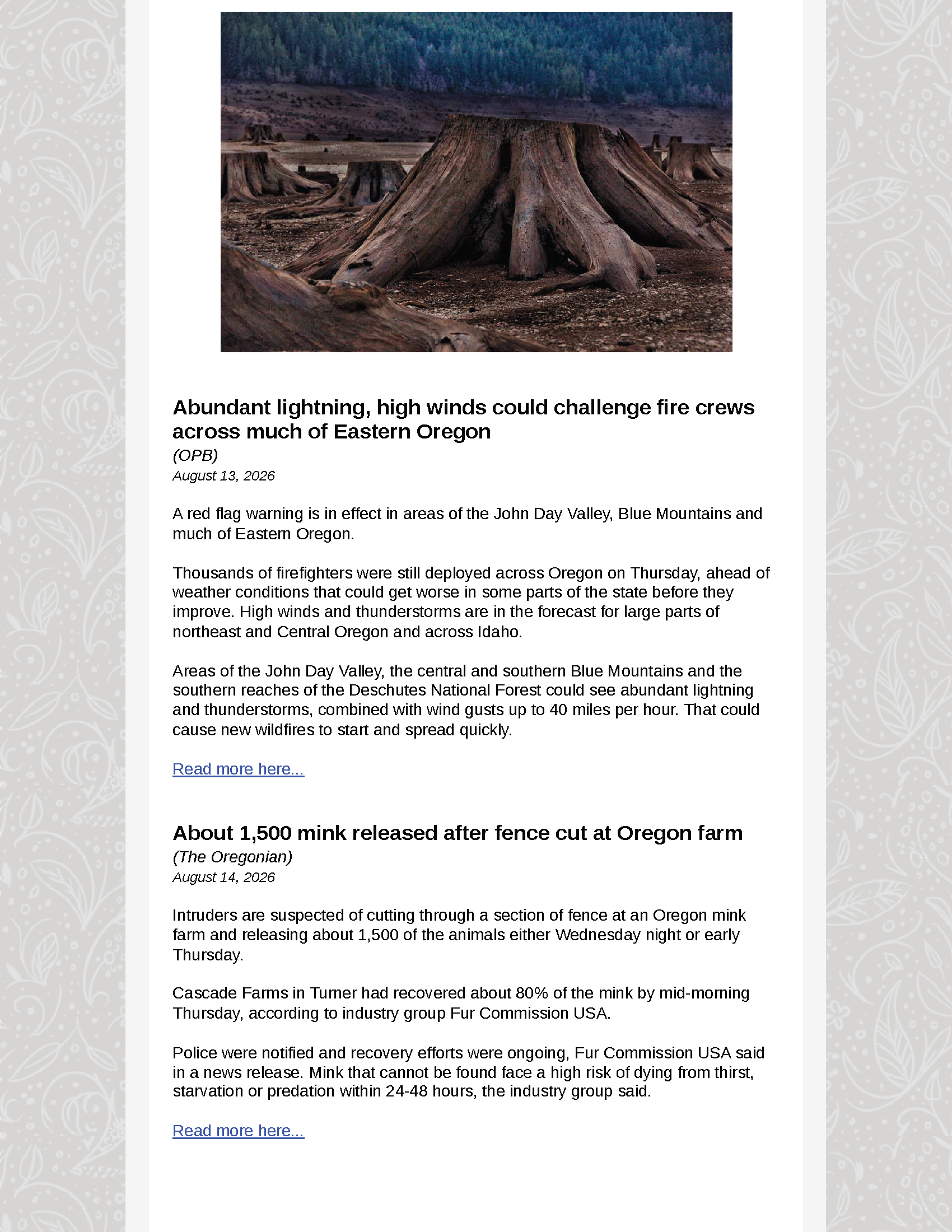 OFS Newsletter - August 14 2026_Page_08.png
