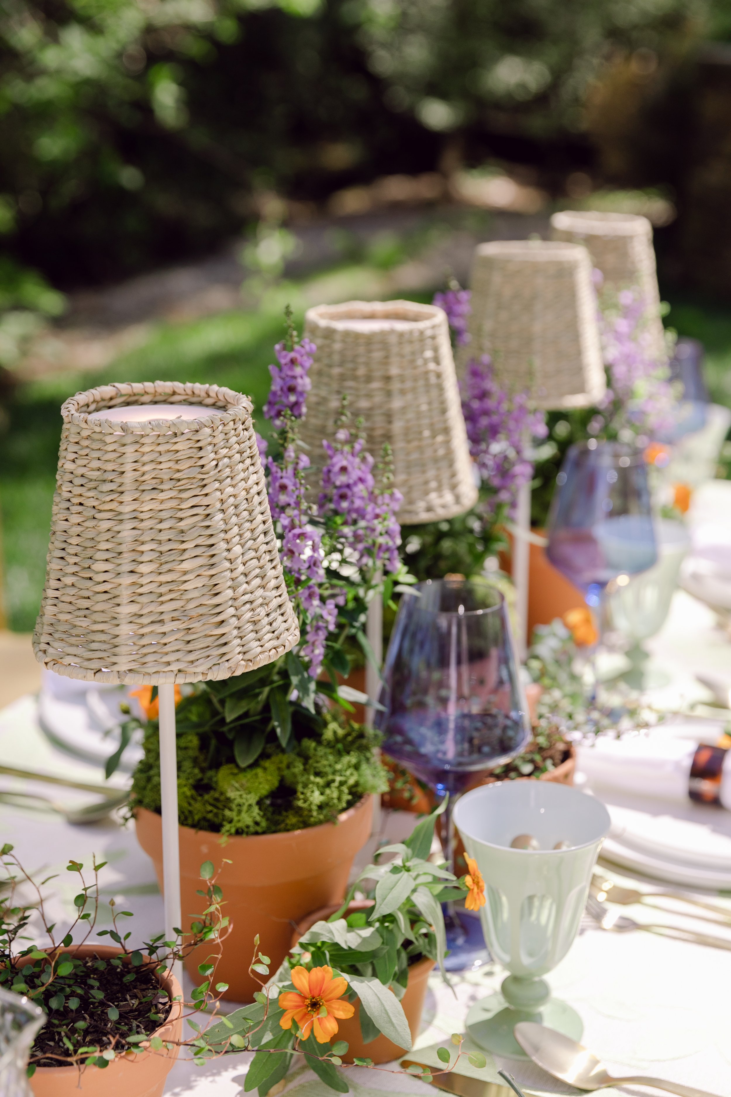 72 Spring Asparagus Fern Garland by Bloom Room