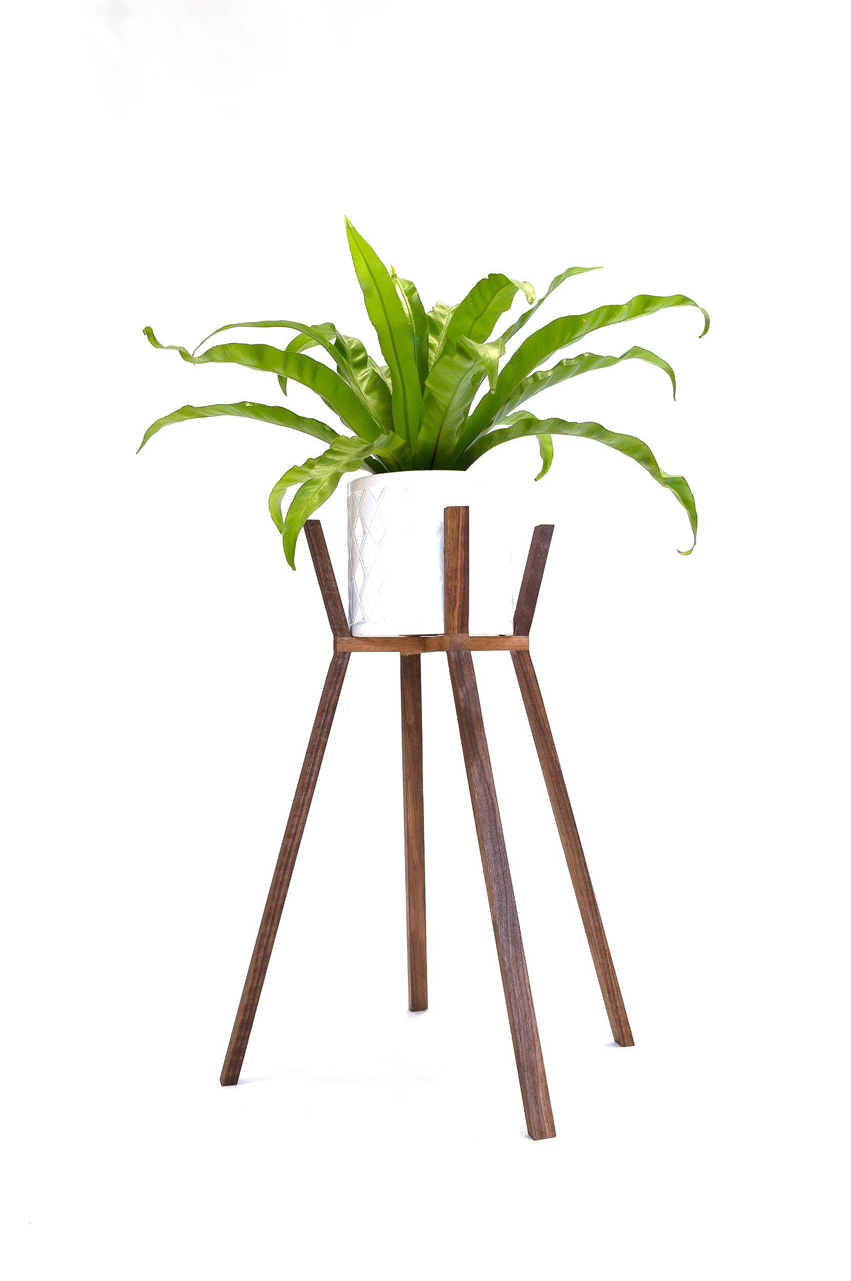 PLANT STANDS-8.jpg
