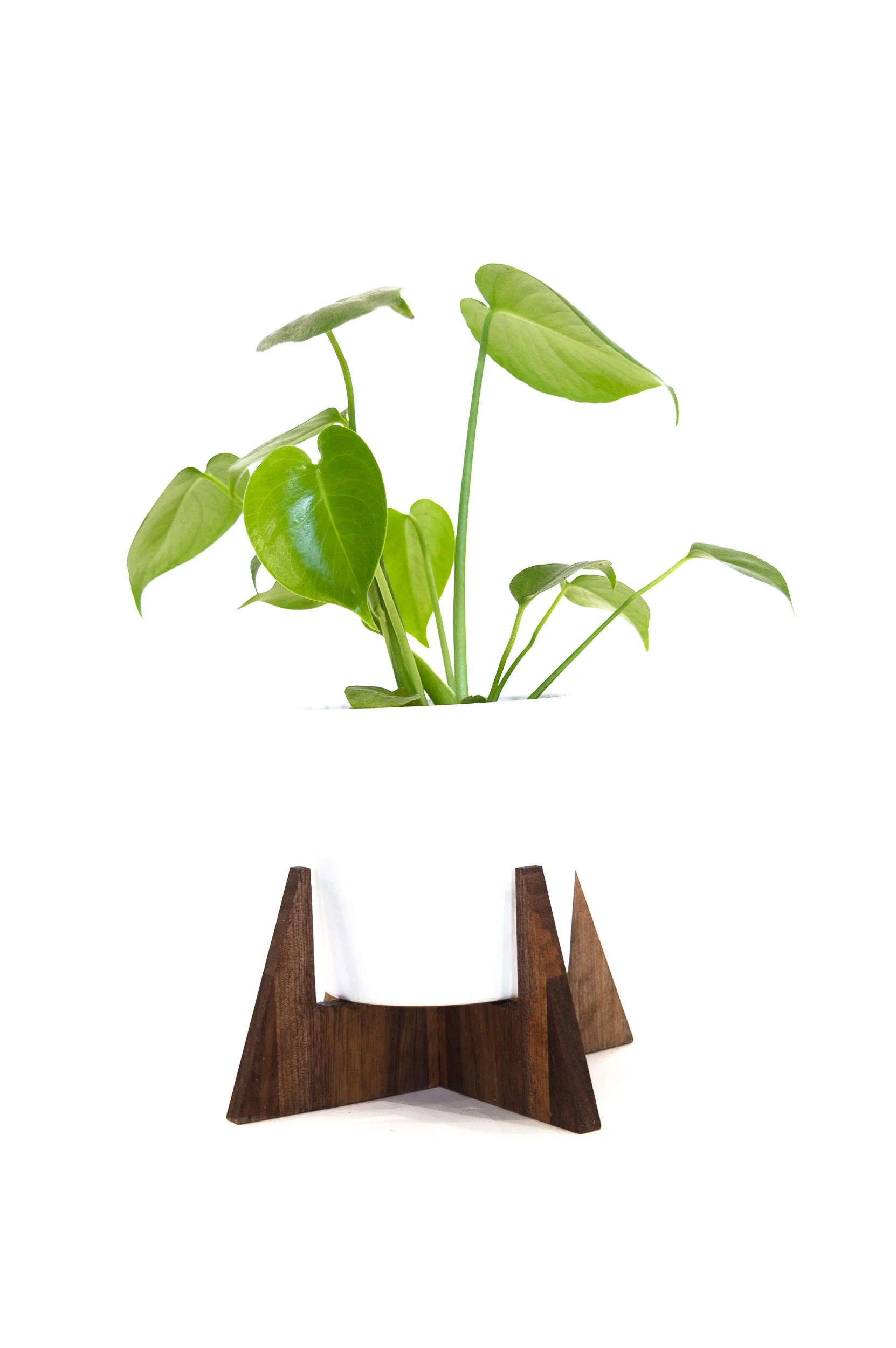 PLANT STANDS-20.jpg