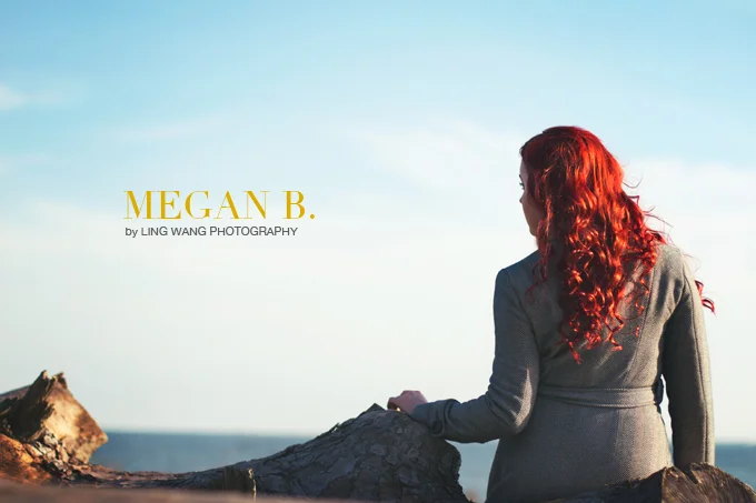 Sophisticated Portraits