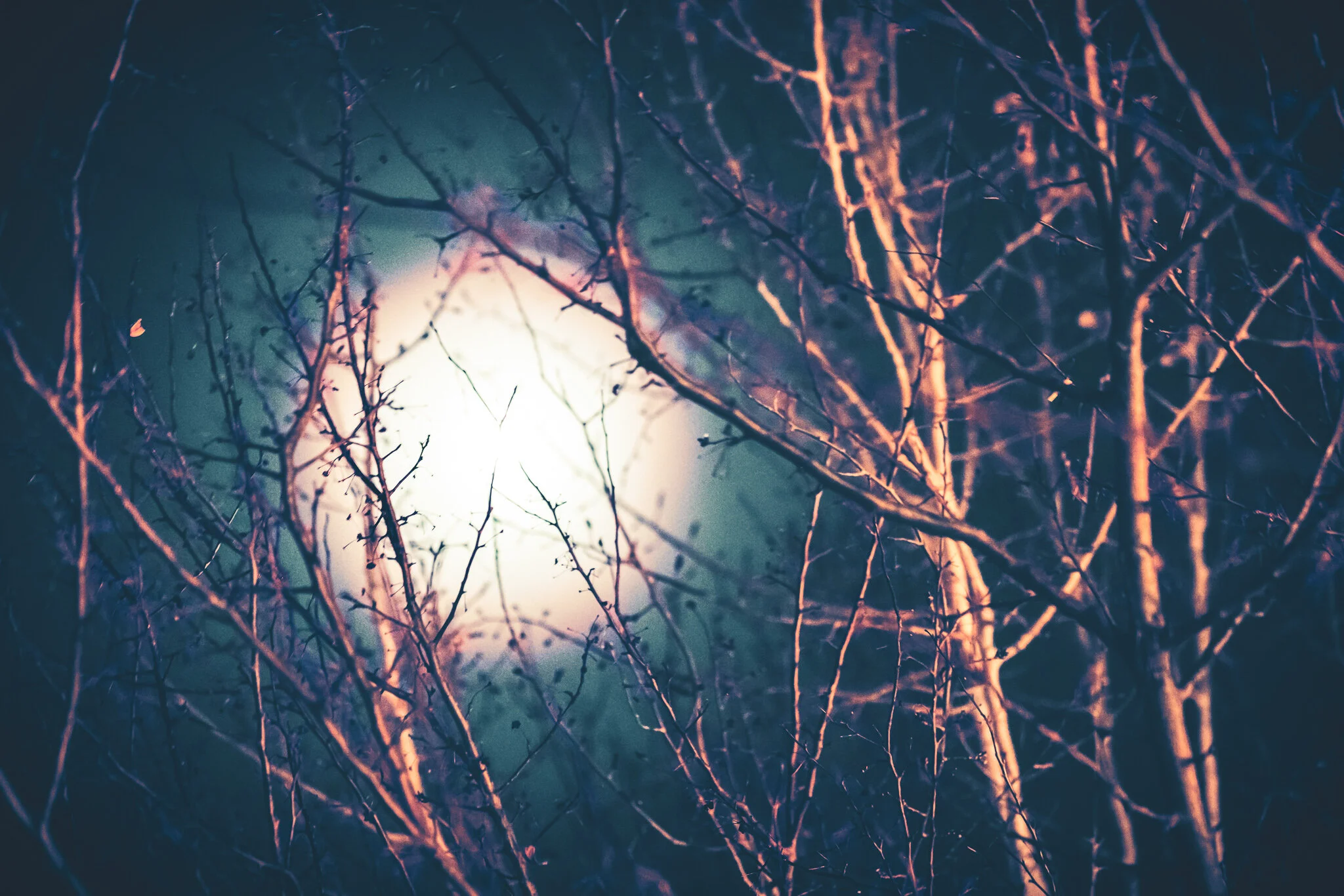 The Ghosts of Winter