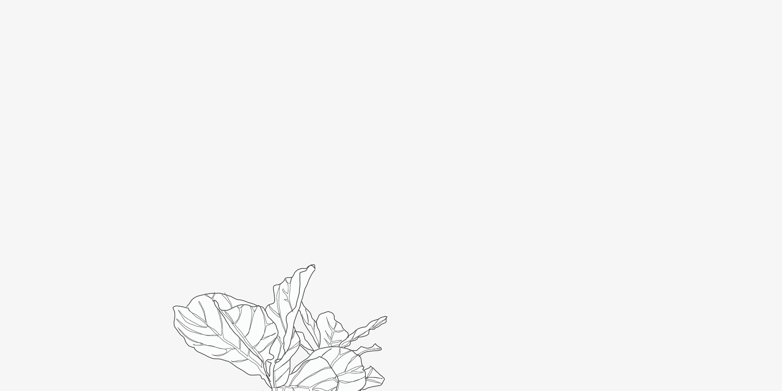 LL-web-fig-banner2.png