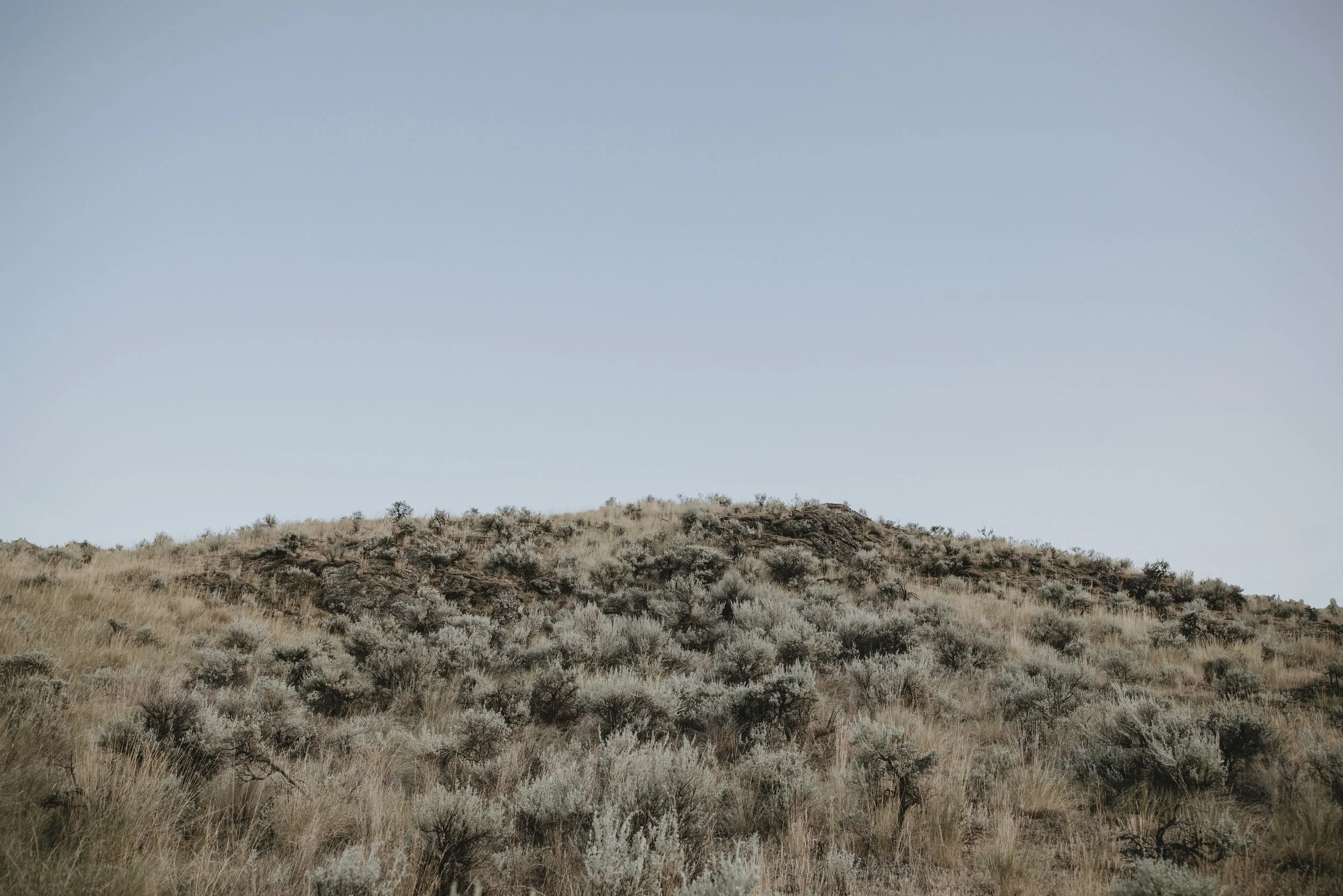 Sagebrush and Sky 1.jpg
